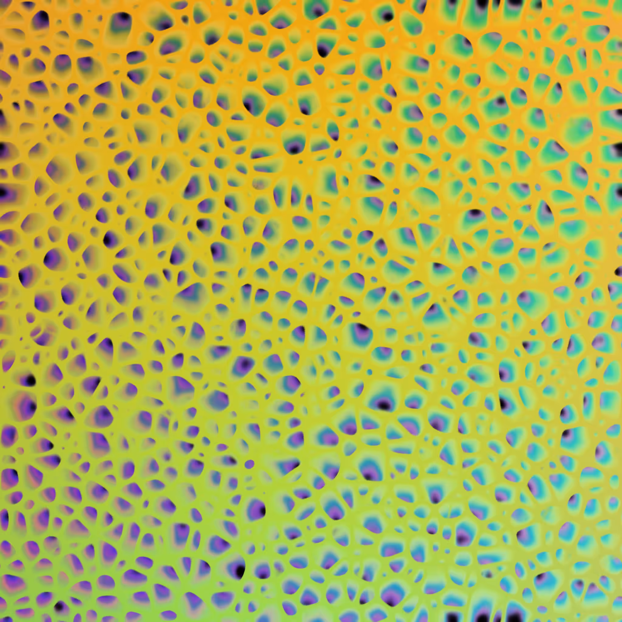 Primordial Rainbow Soup #11
