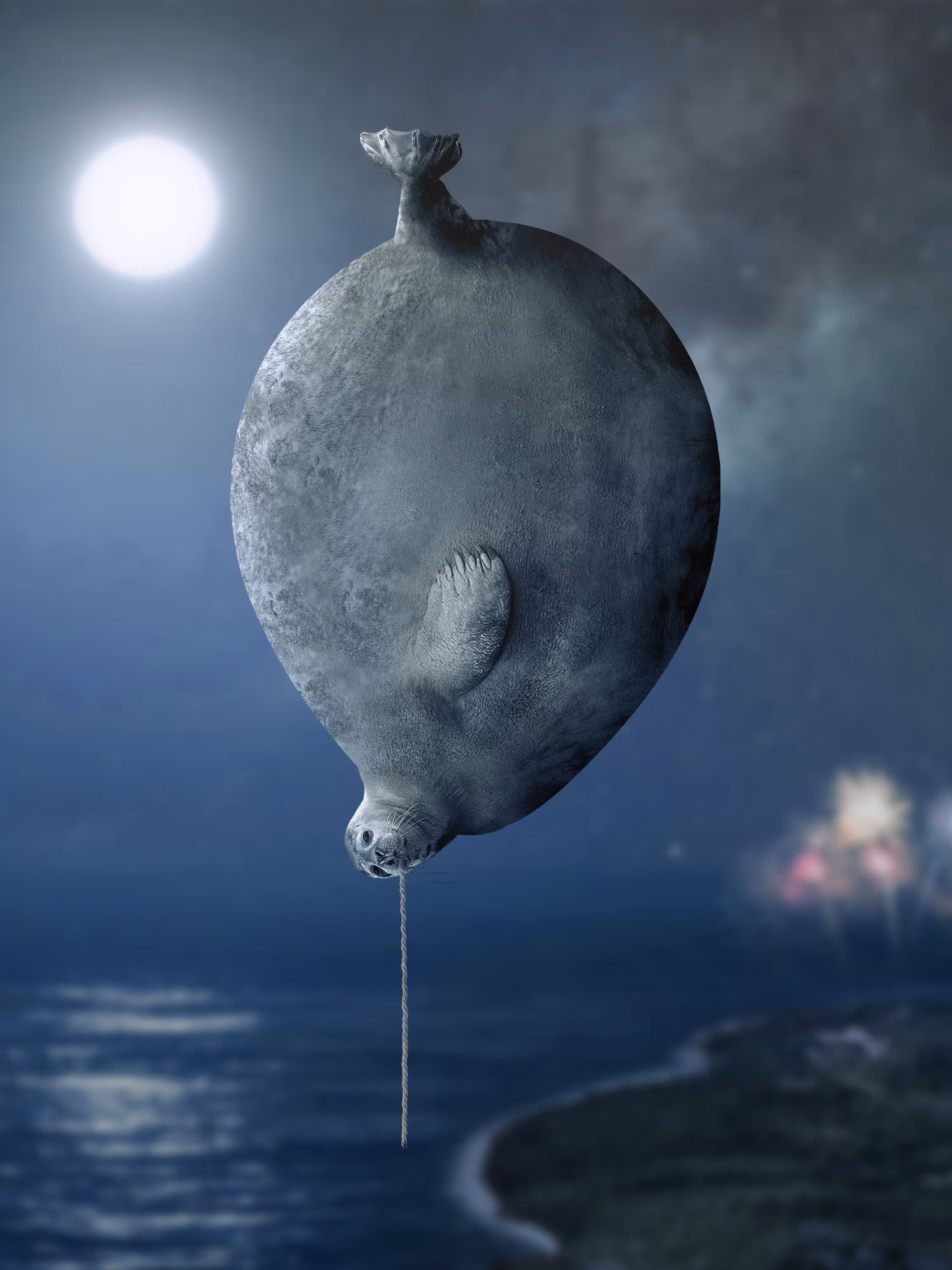 Sealloon