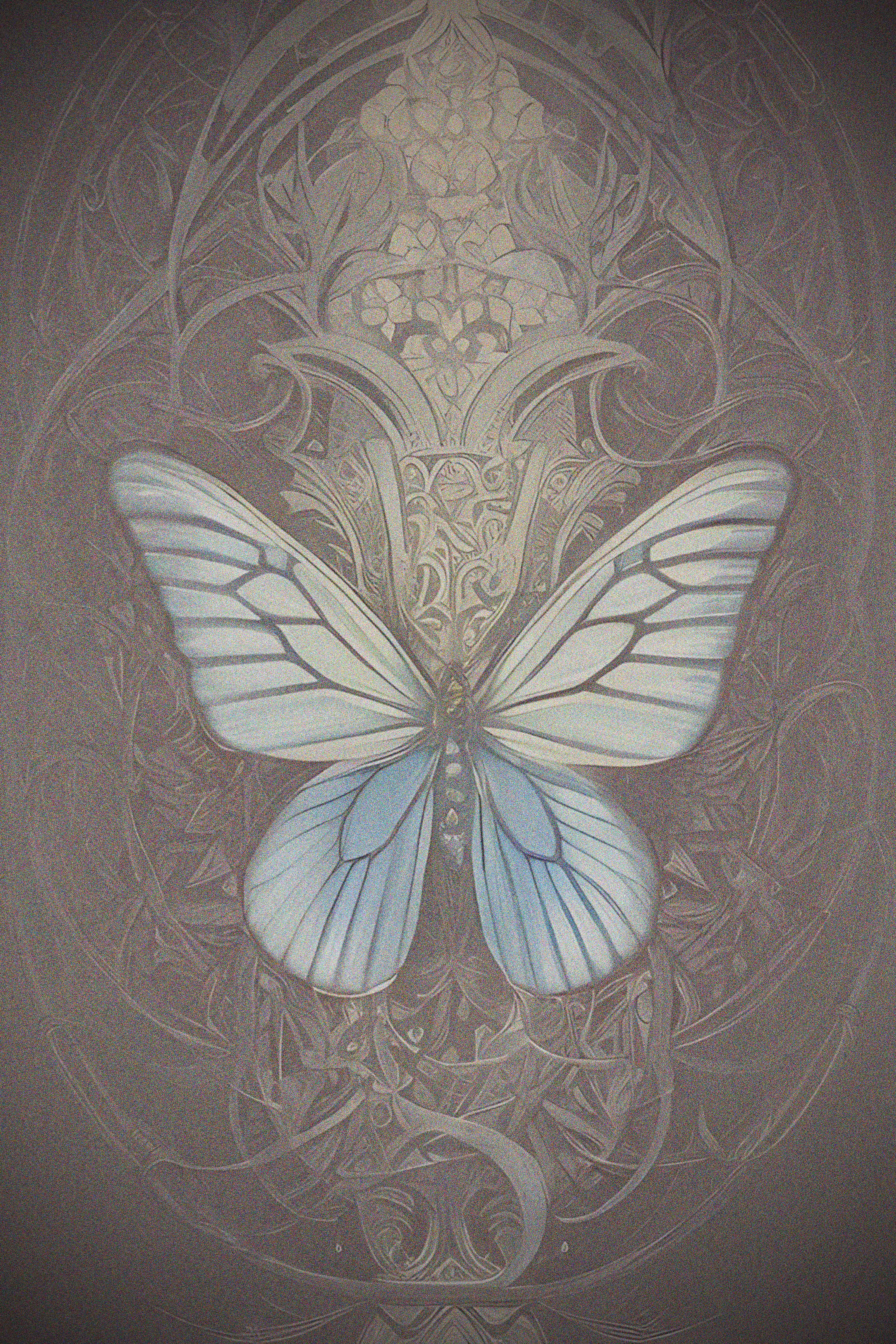 White Butterfly