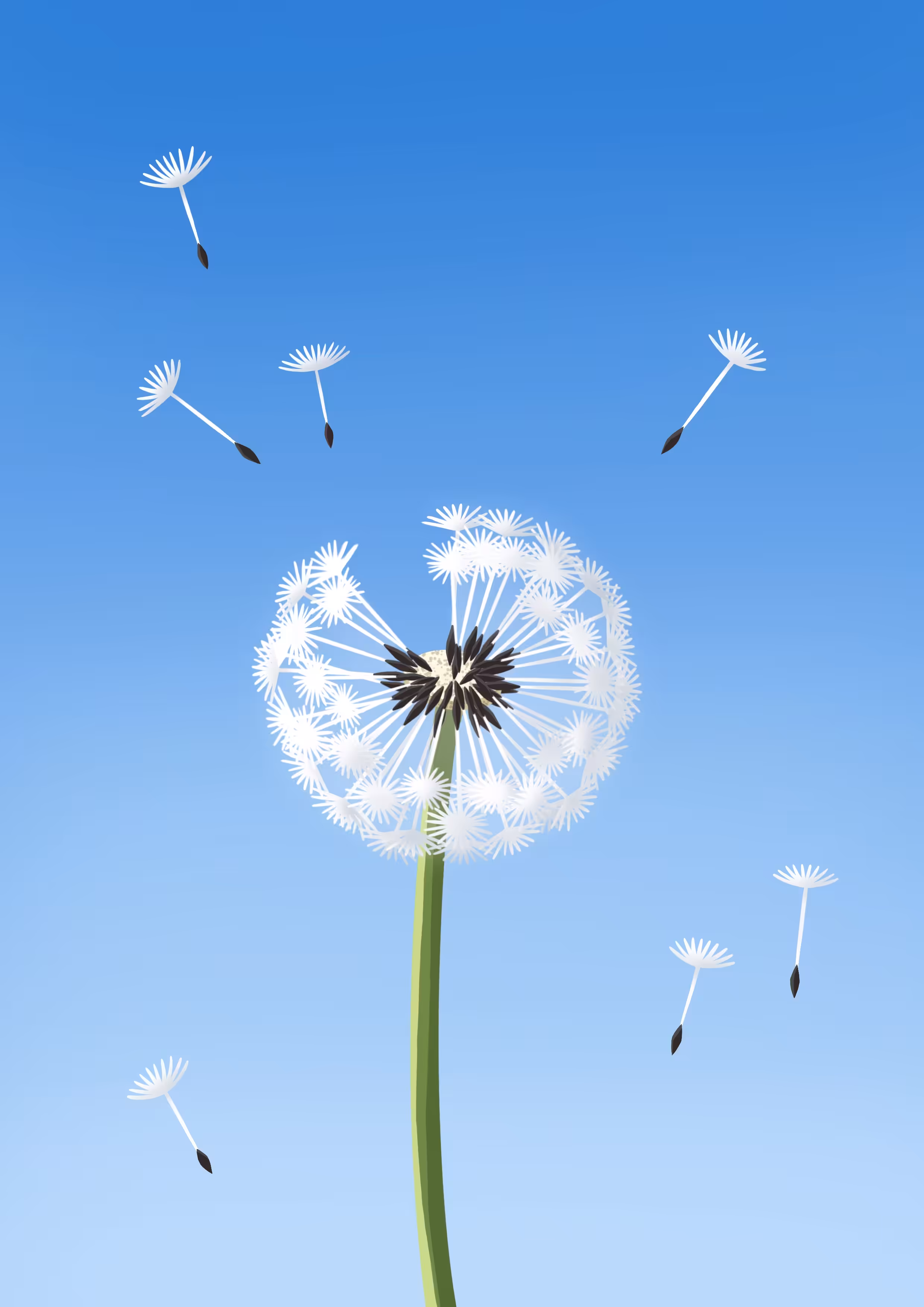 Lightness