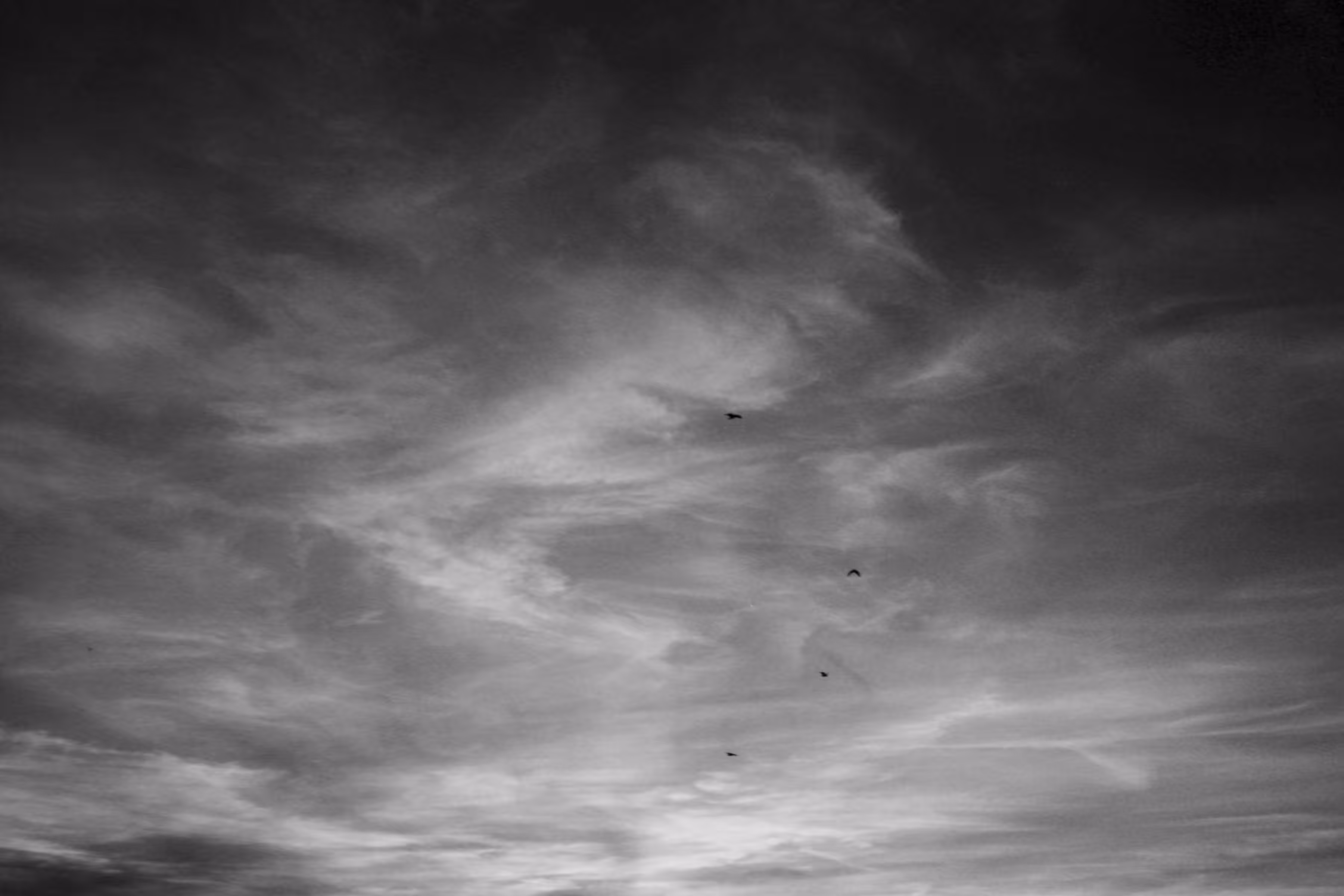 Freedom - The Skies Collection (Piece 3 of 3)