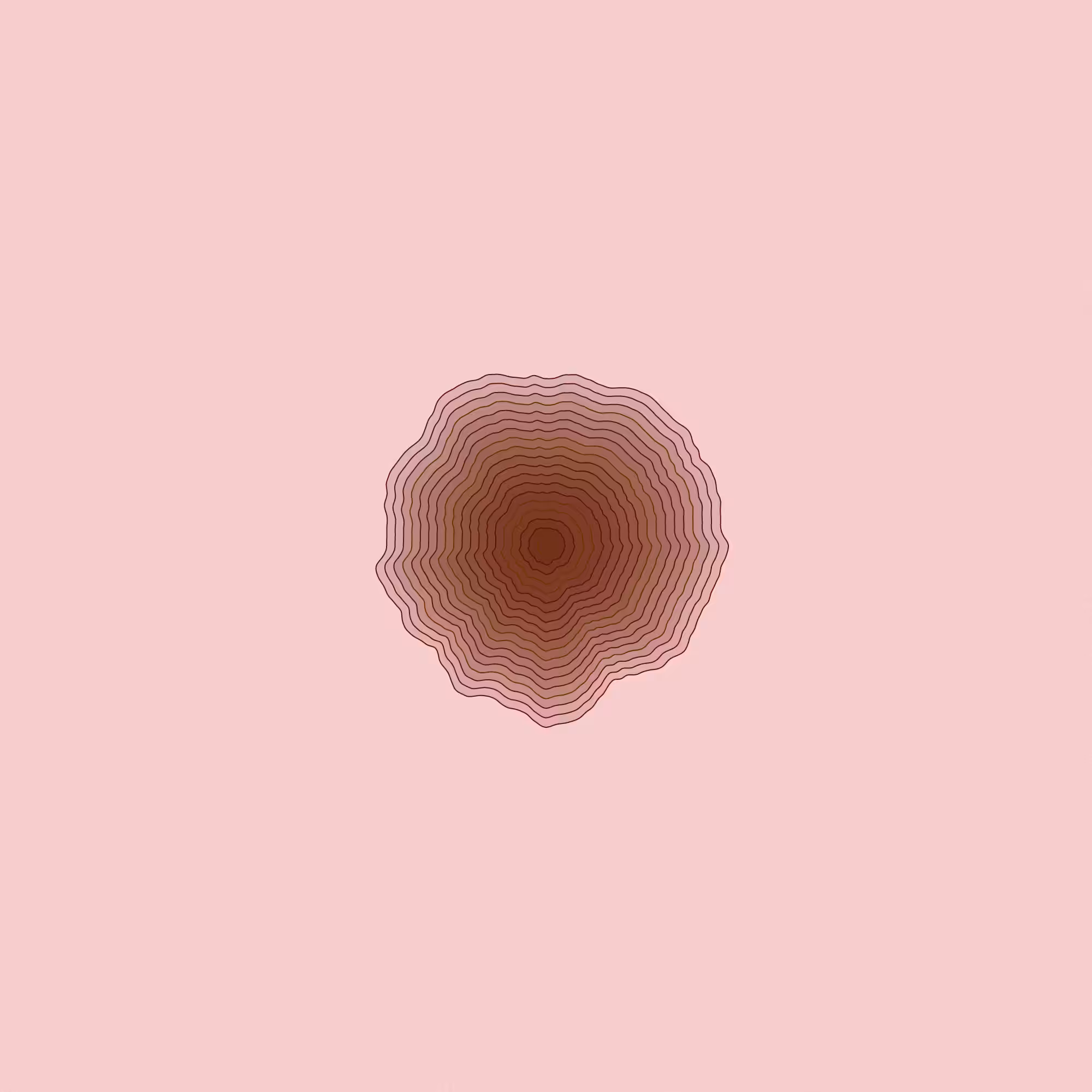 Hashed Onions #36