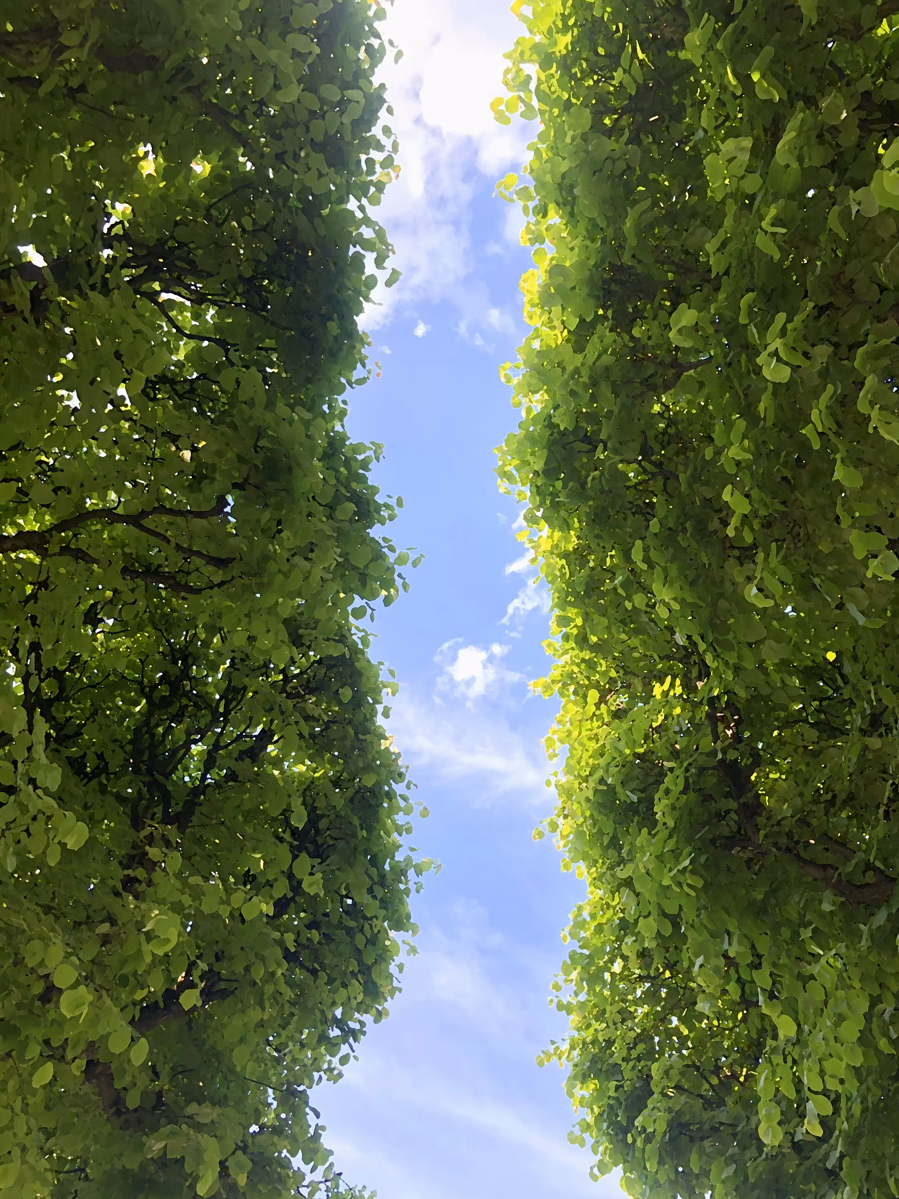 Sky Path