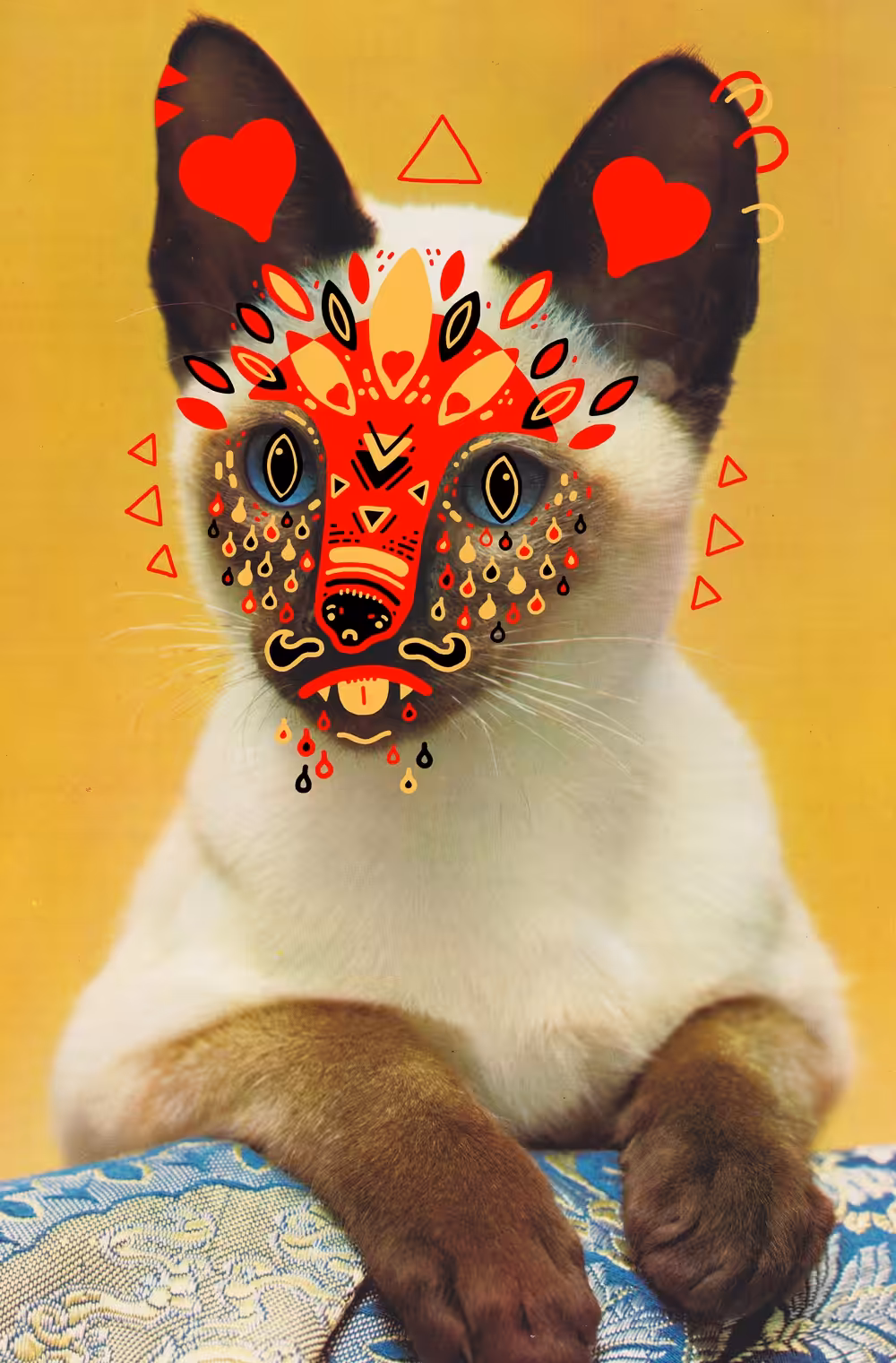 kozmik katz 1