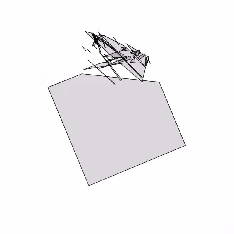Fracture #219