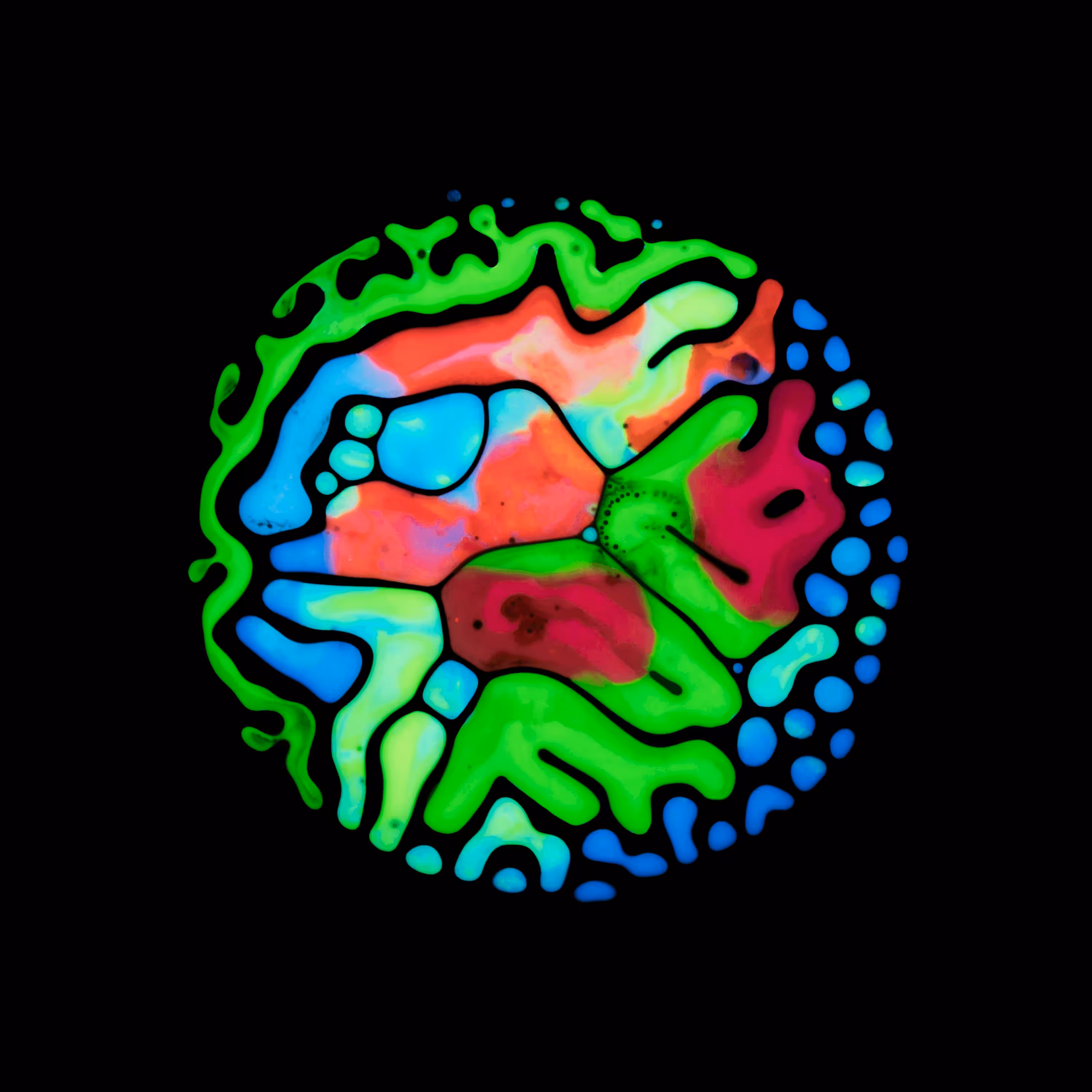 Haematopoiesis #202