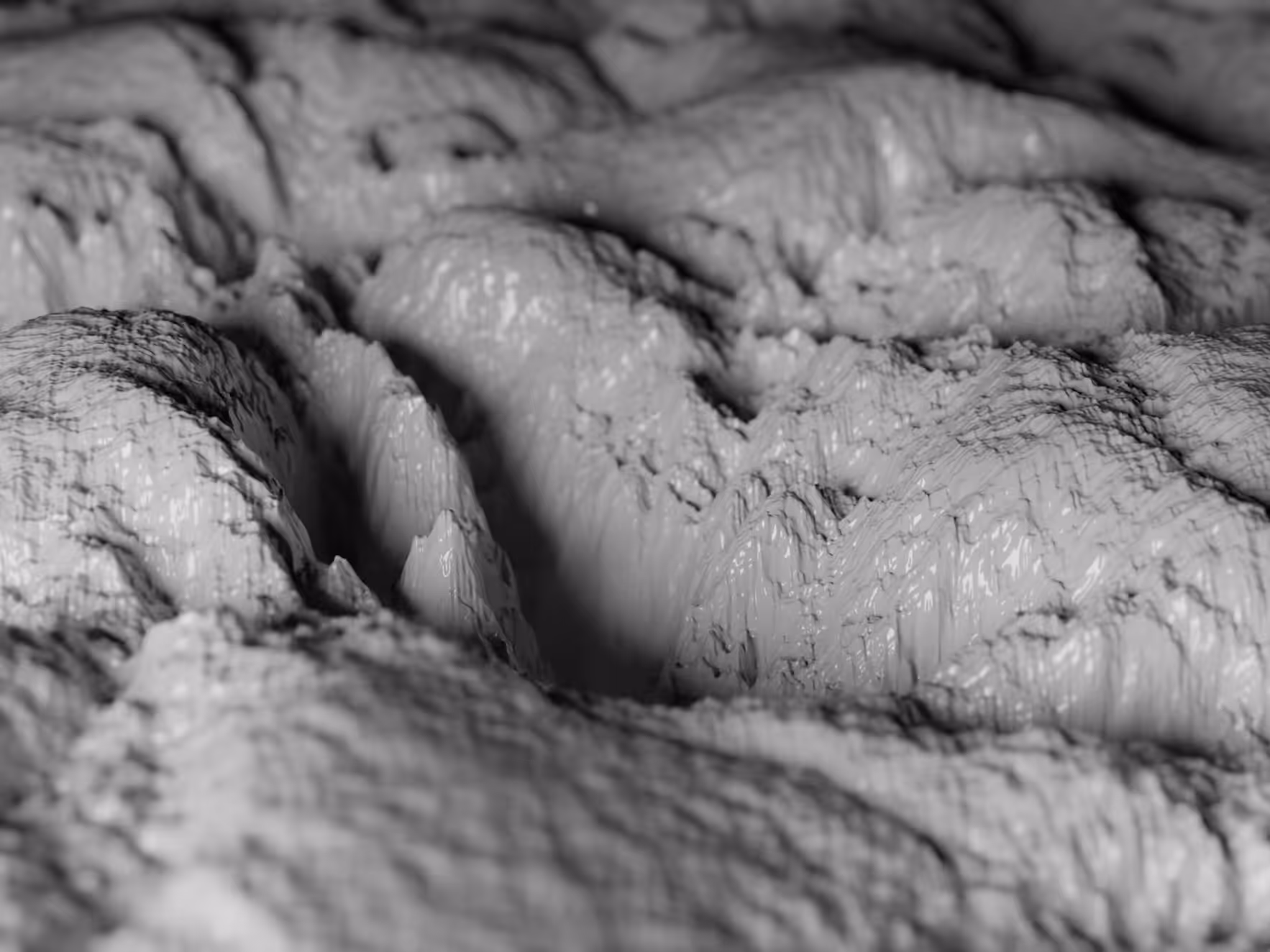 PHYSARUM LANDSCAPE #16