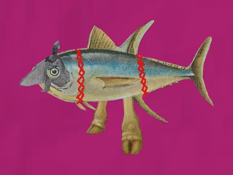 Goddamn Fishy