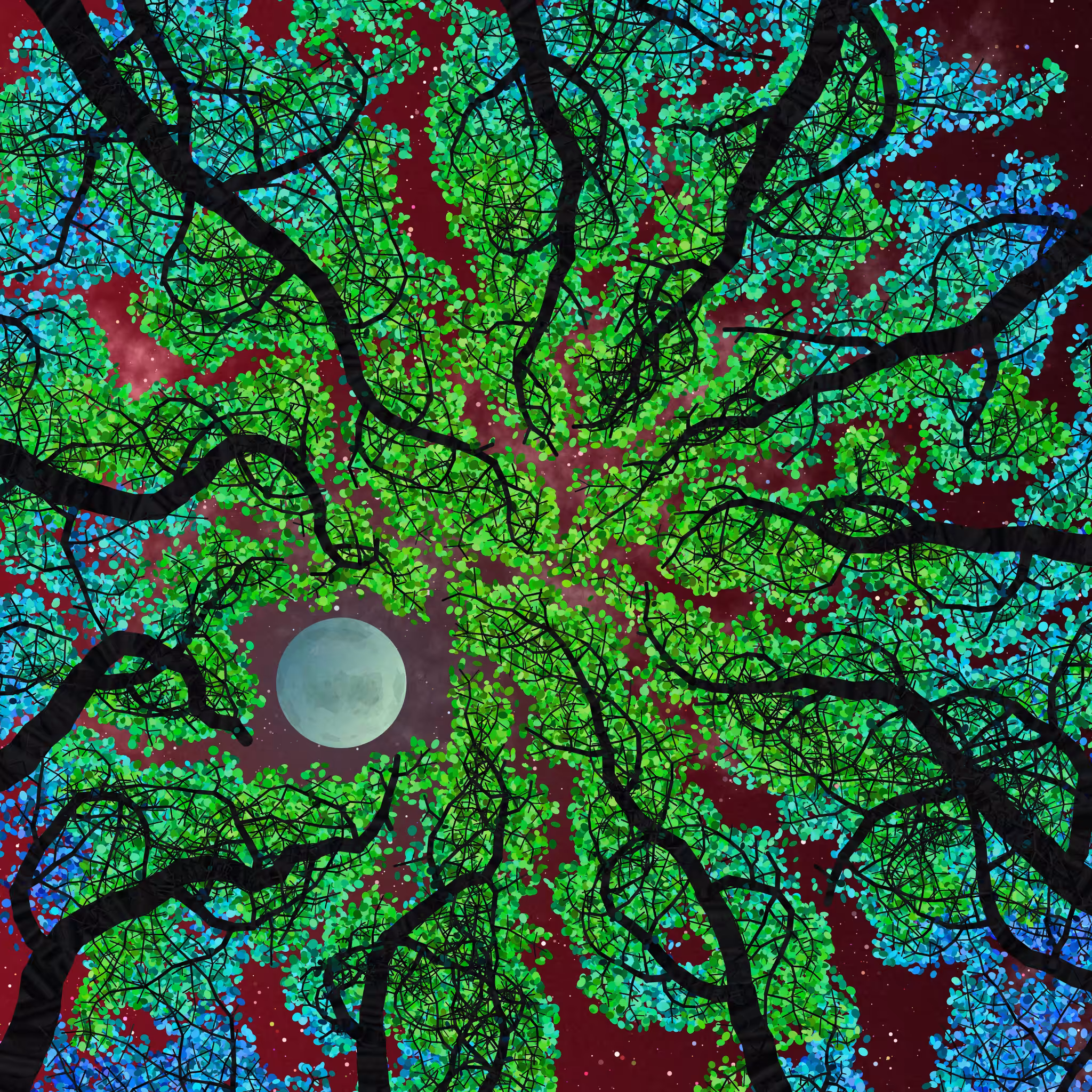 Tree Skyness #199