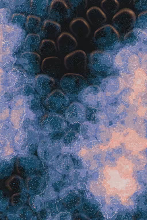 Vitreous #66