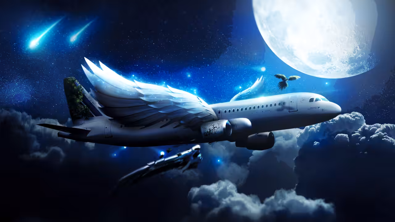 Flight to Heaven