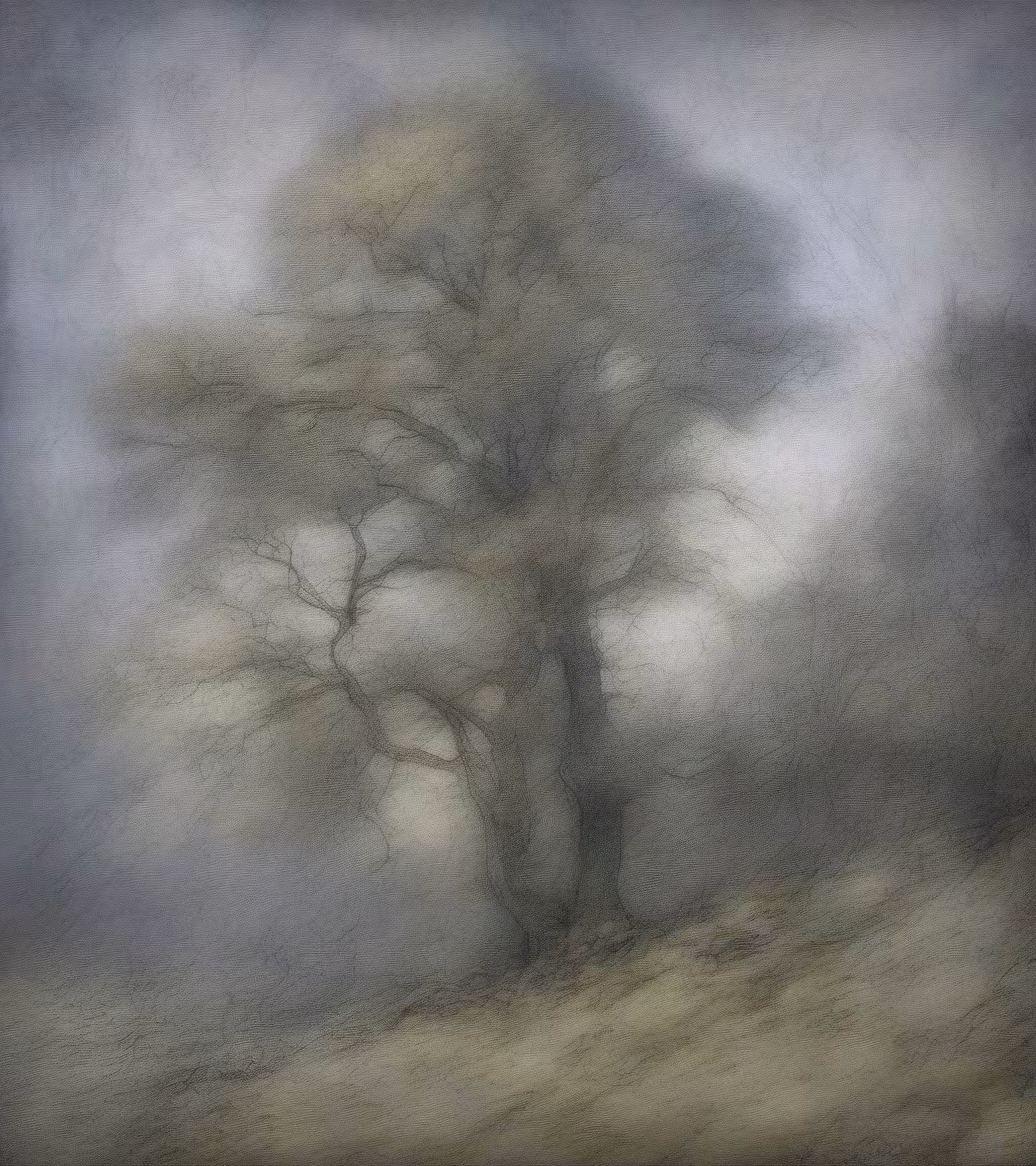 Tree Studies #11