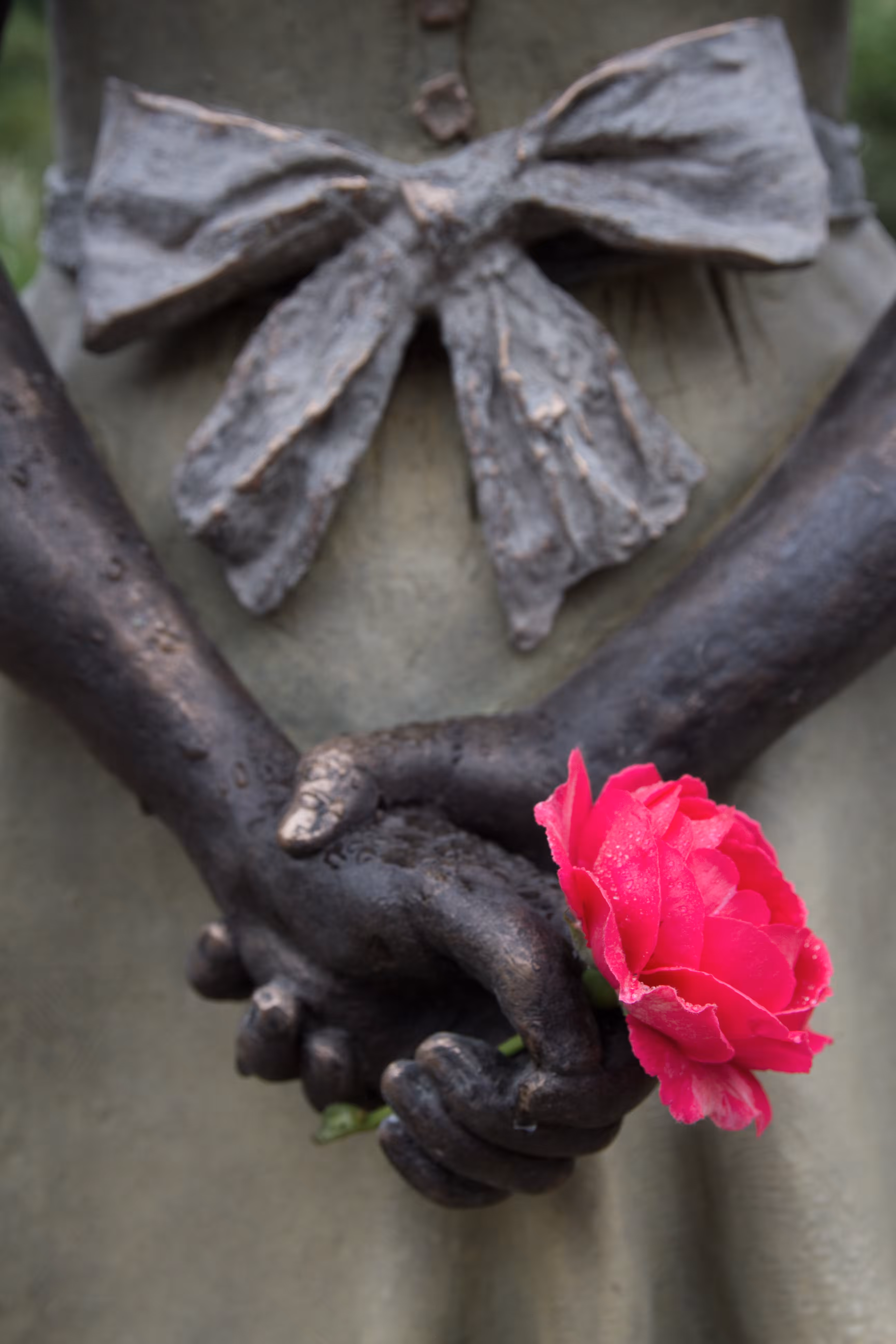 A Rose for Alice