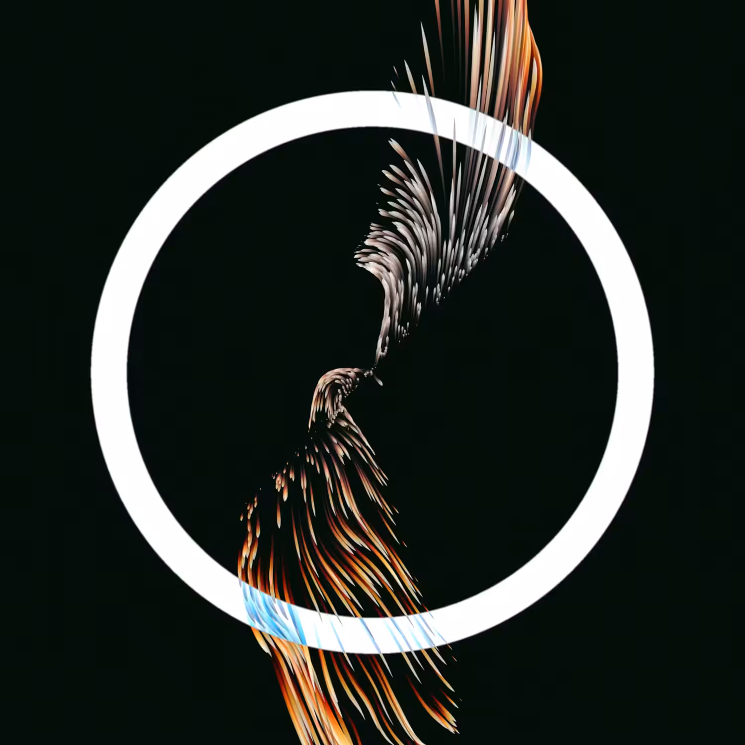 Vortex #1050