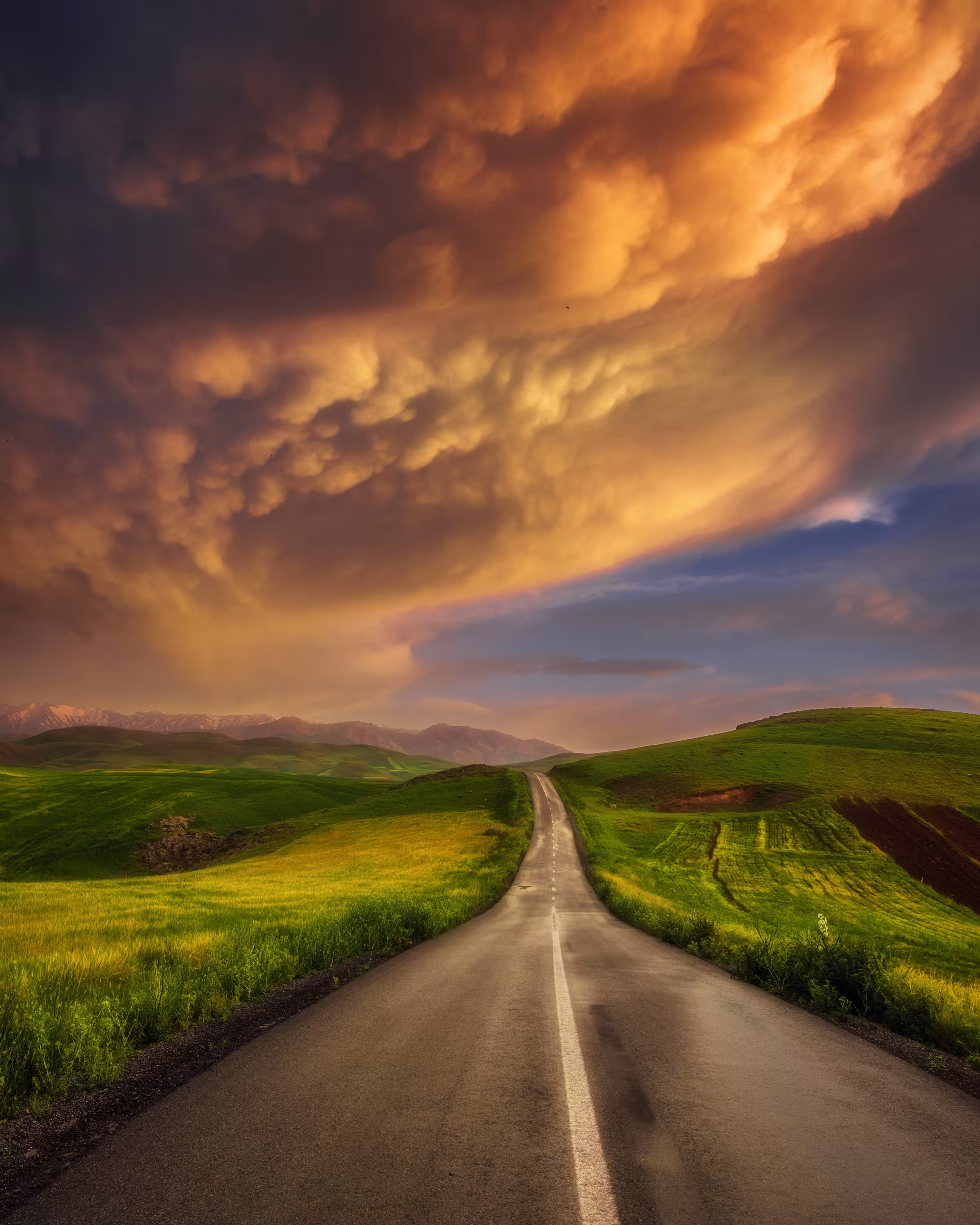 Spring Road 
