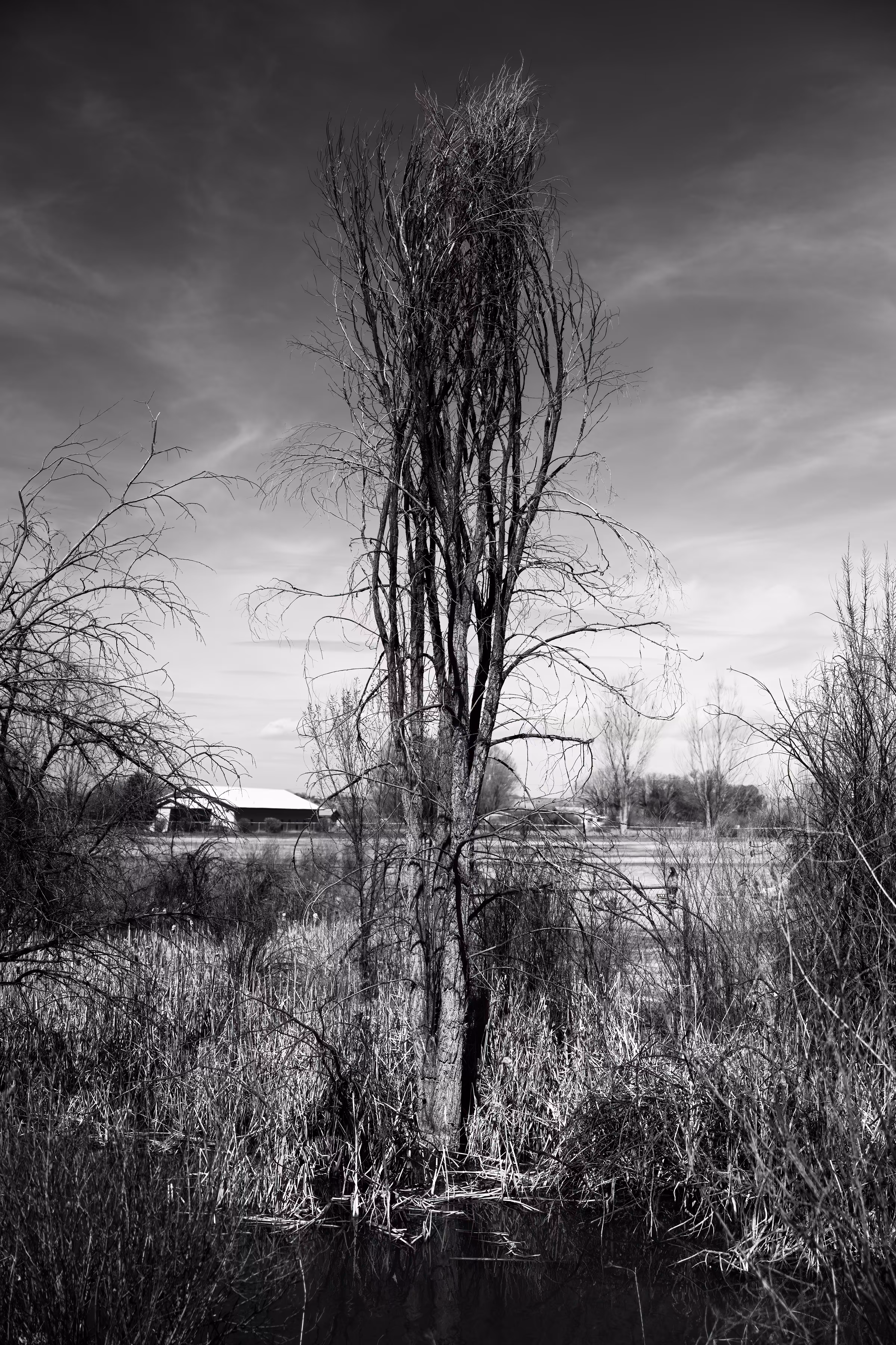 Lost: Monochrome New Mexico