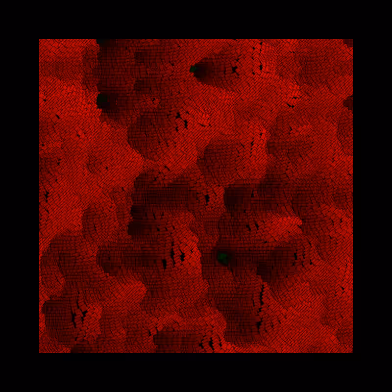 Field Curves #2