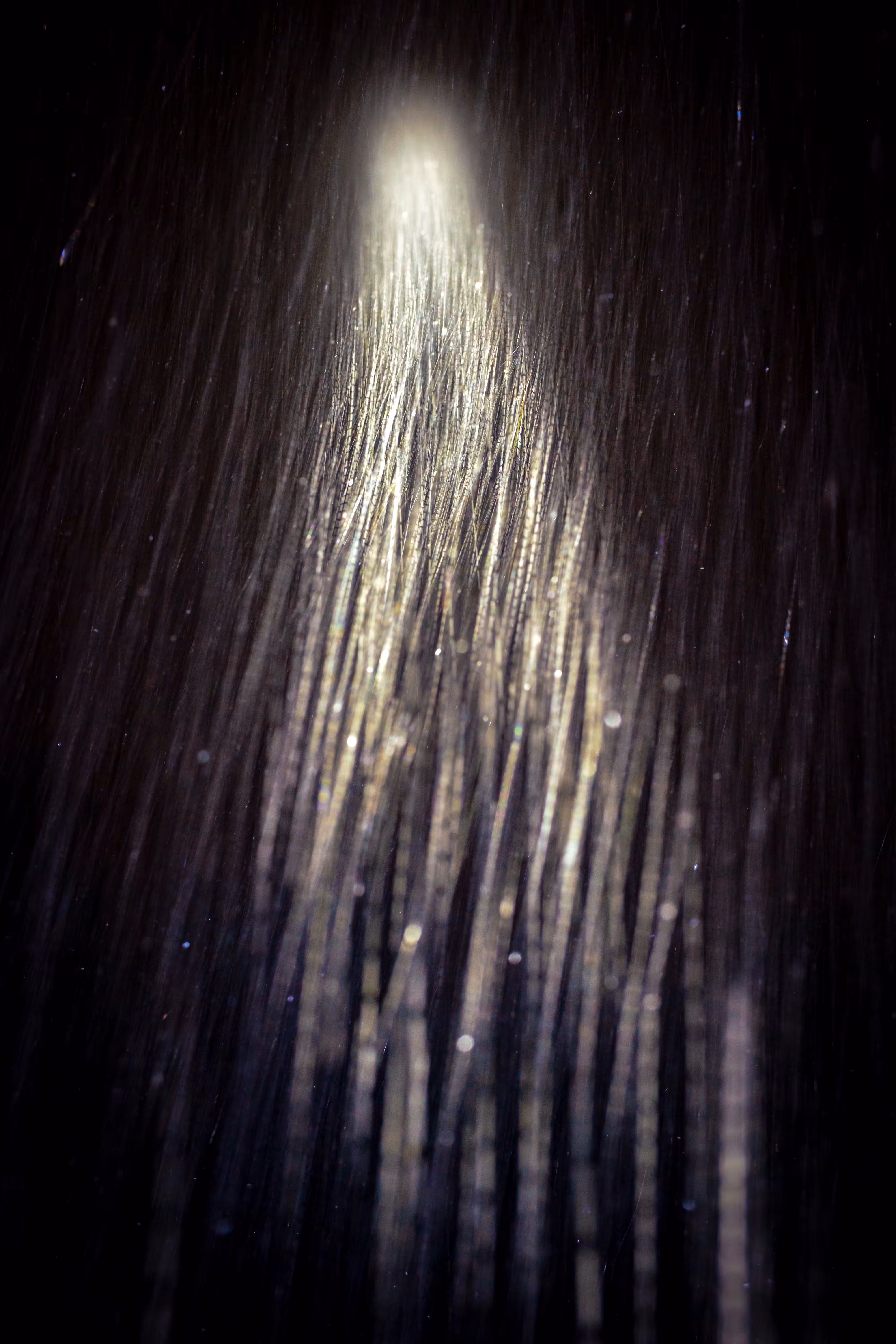 Moonlit Signatures: Do they see it?
