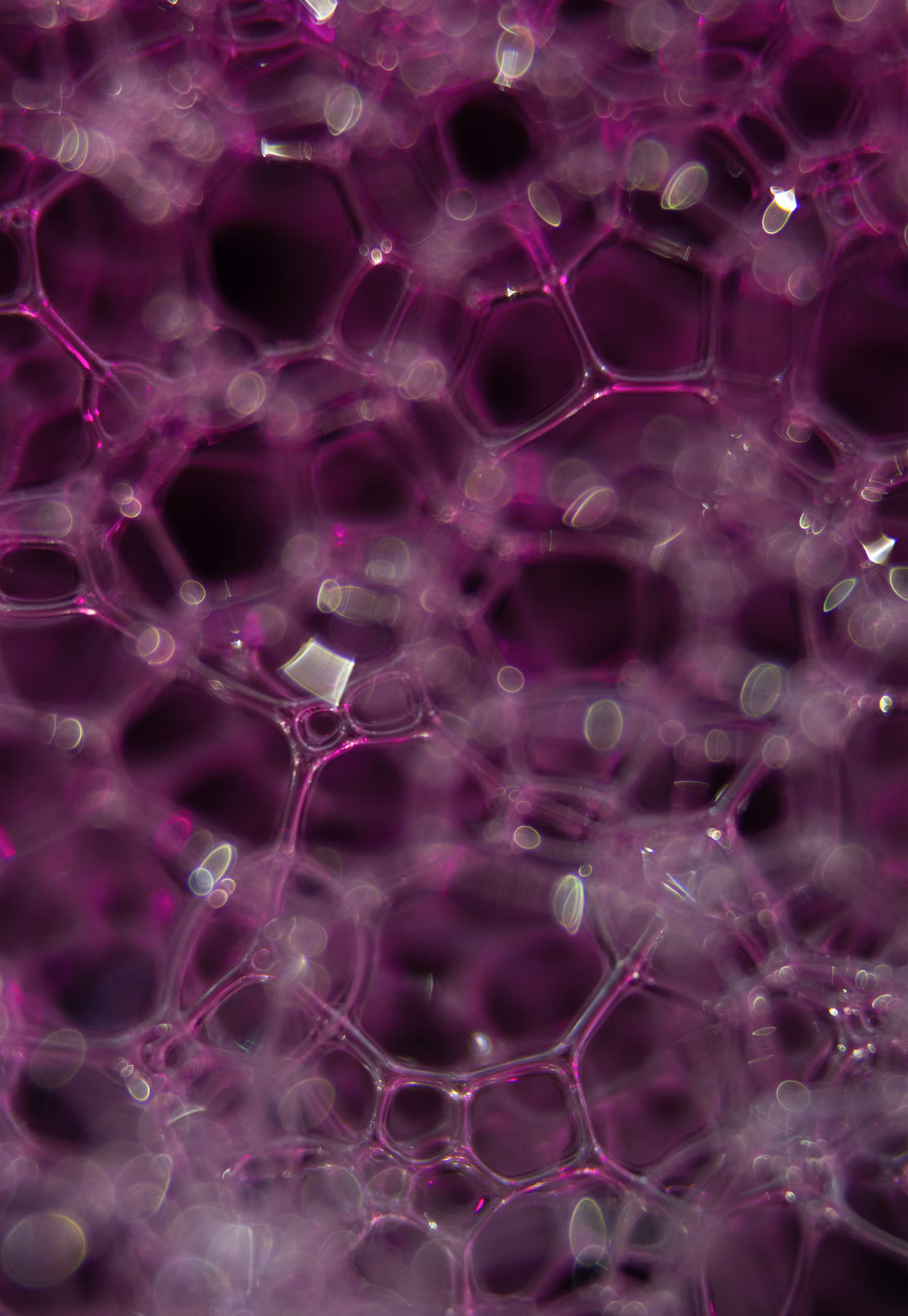 #194 Bubbles