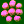 zygote, third division