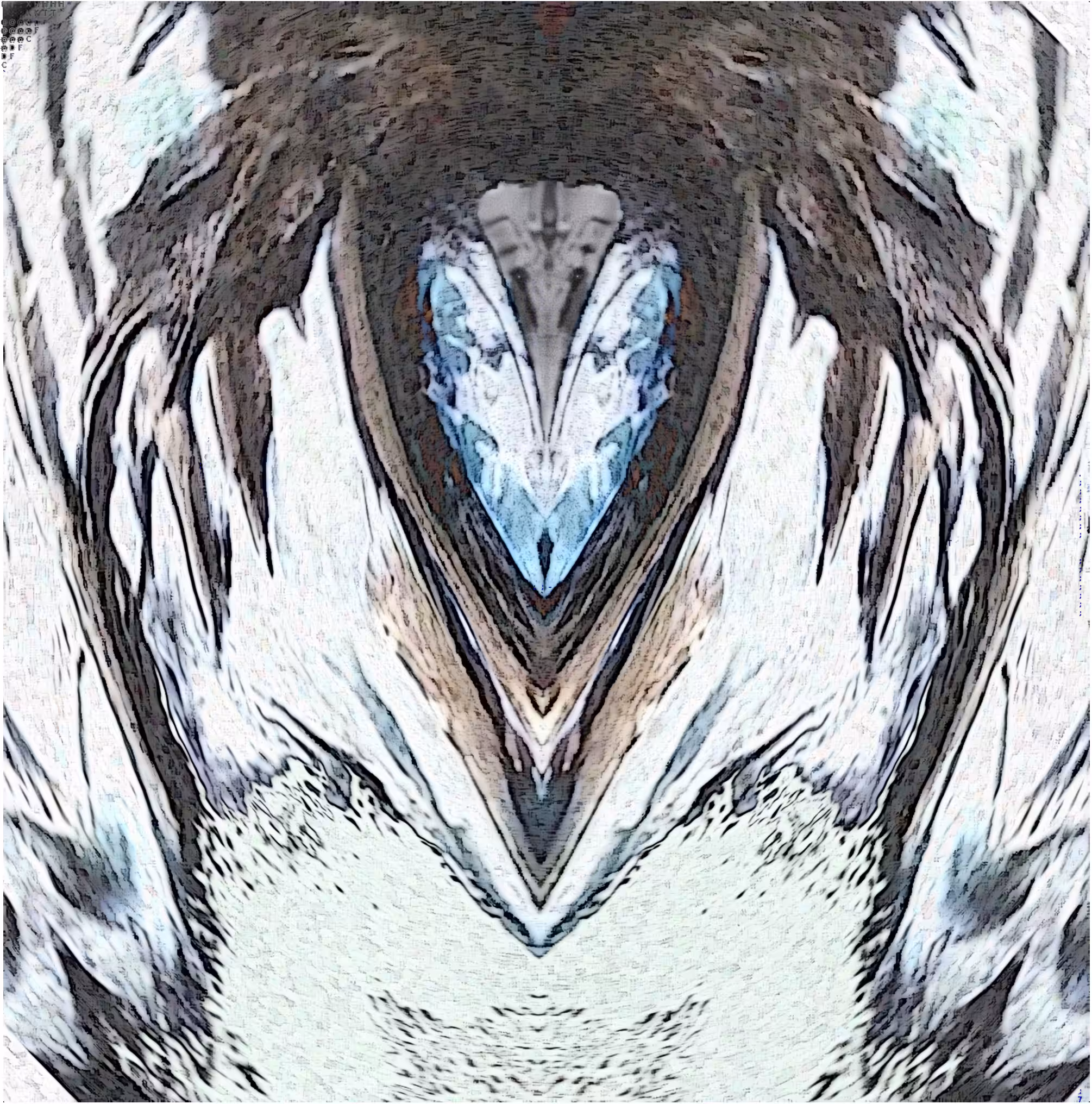 Spirit of the Raven