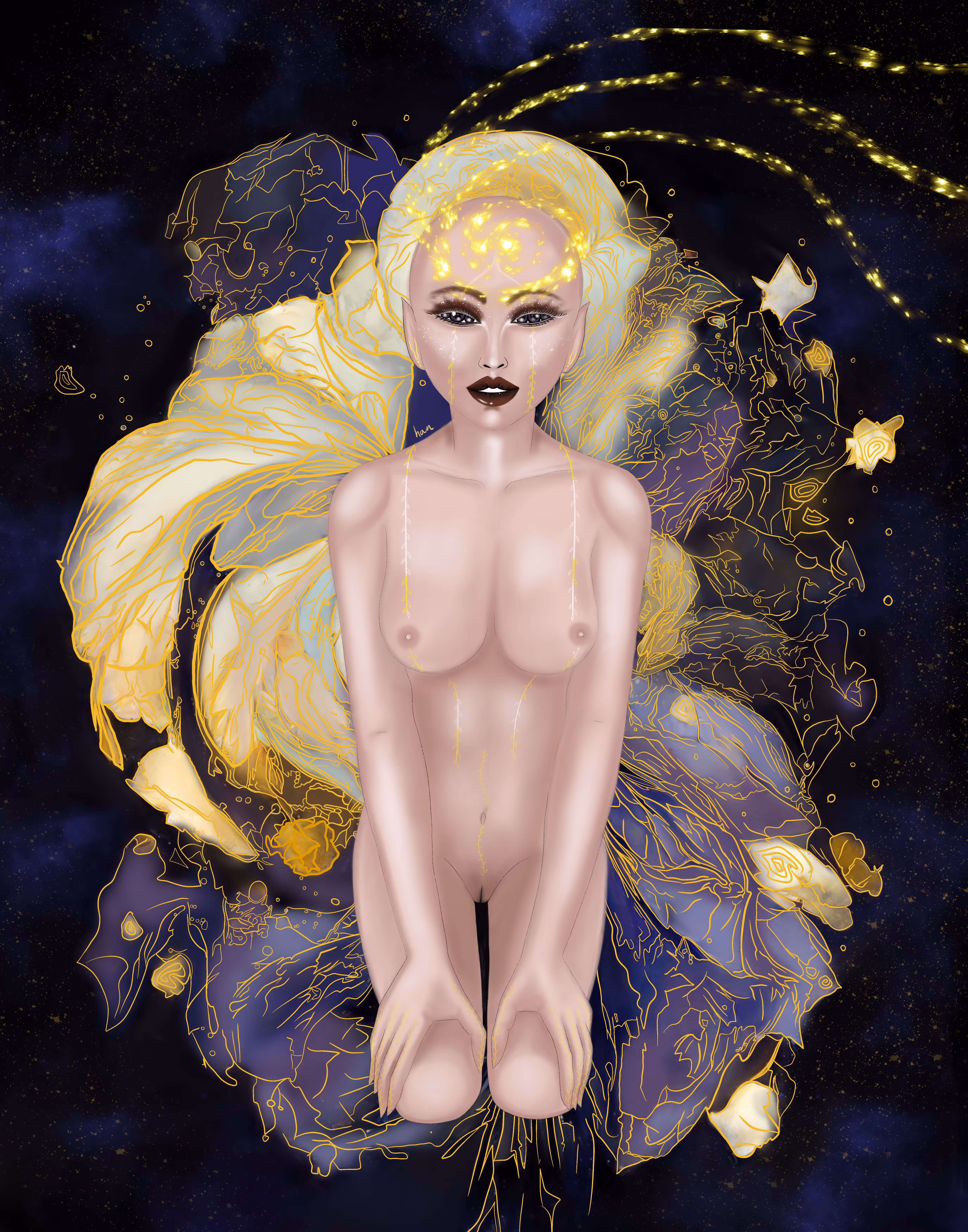 The Spirit of Galaxy