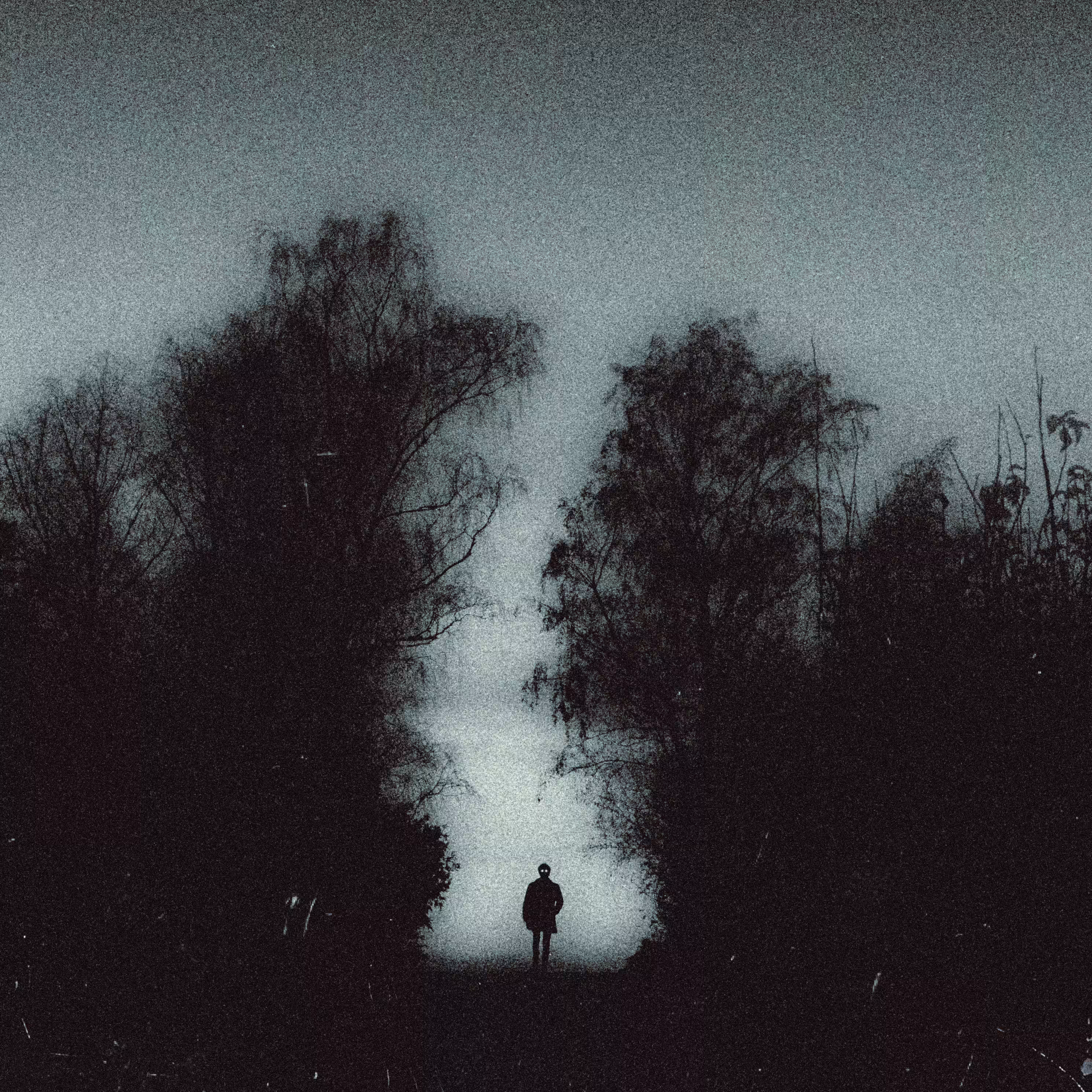 NEITHER SEEN NOR HEARD