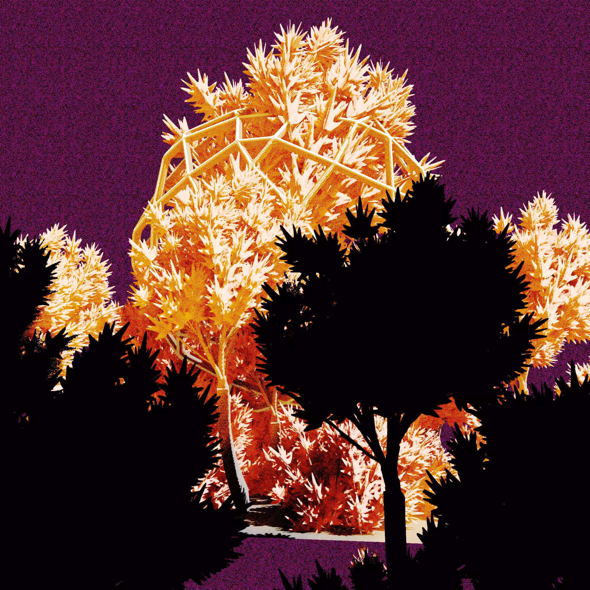 Urban Flora #511