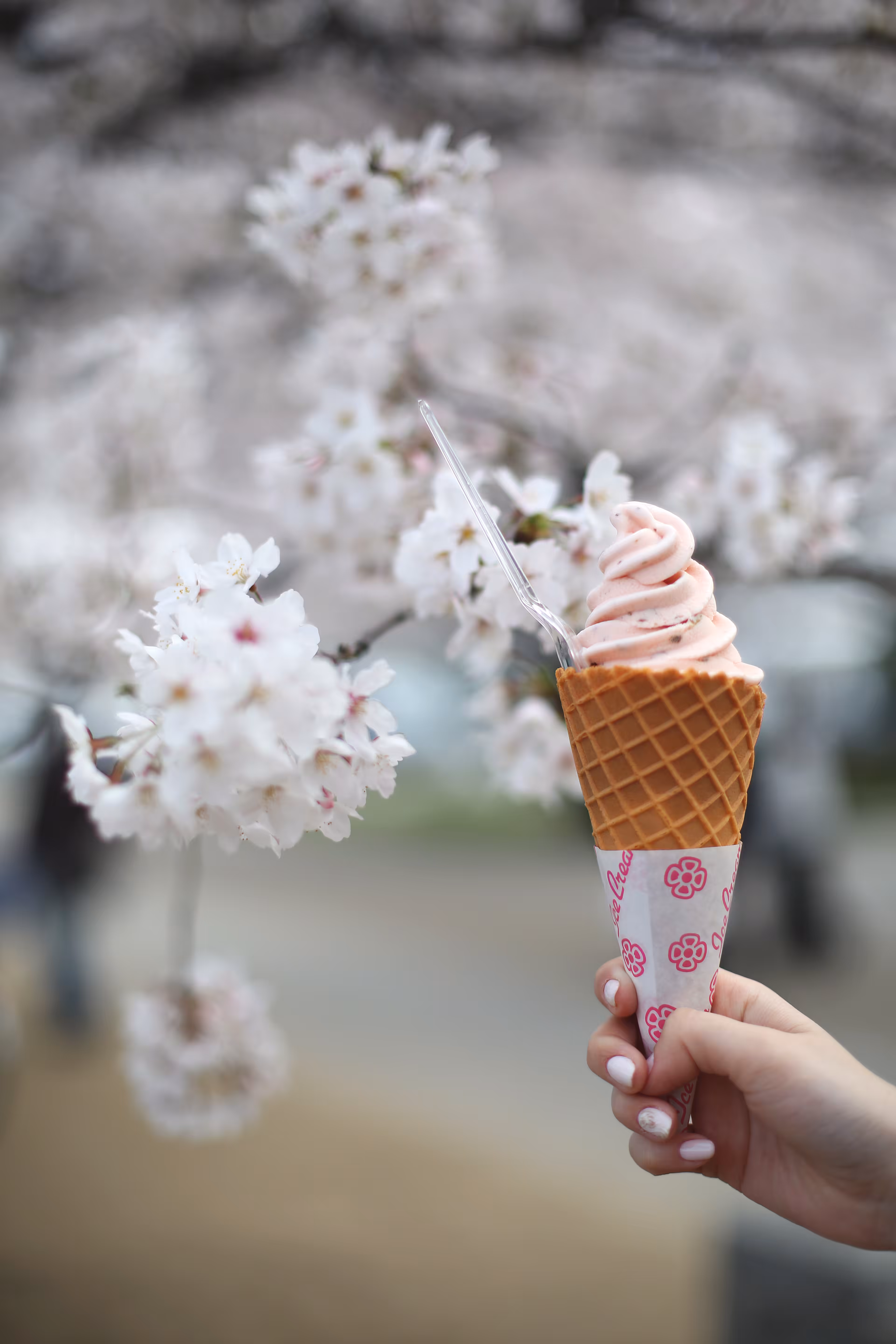 Sakura Ice cream