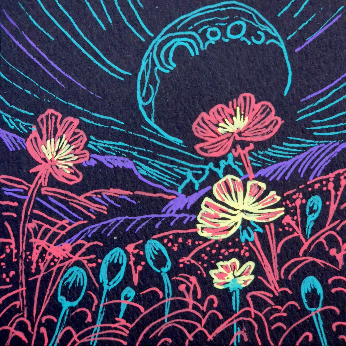 Morning cards: Poppy field