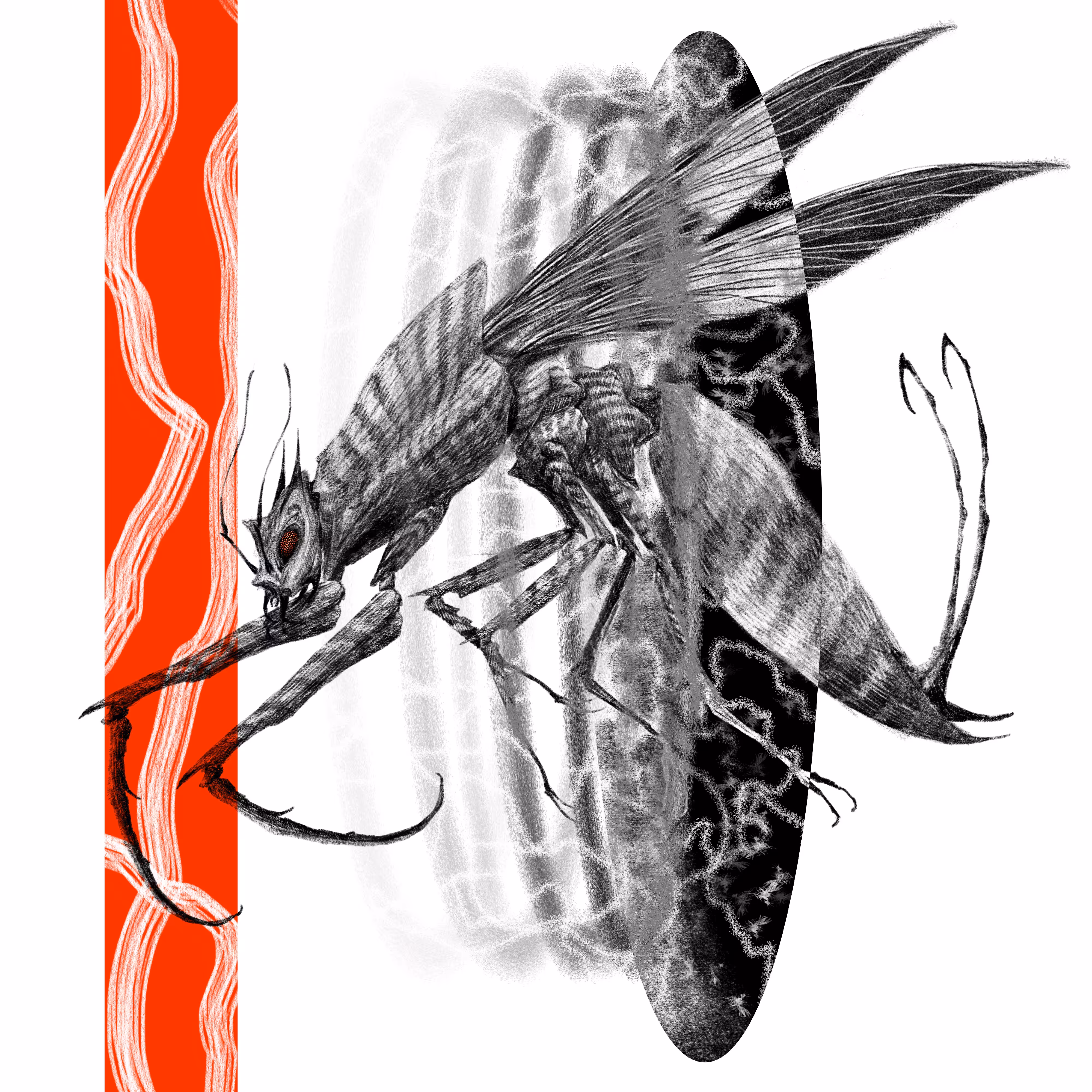 THE INSECTS: ASSASSIN WASPS