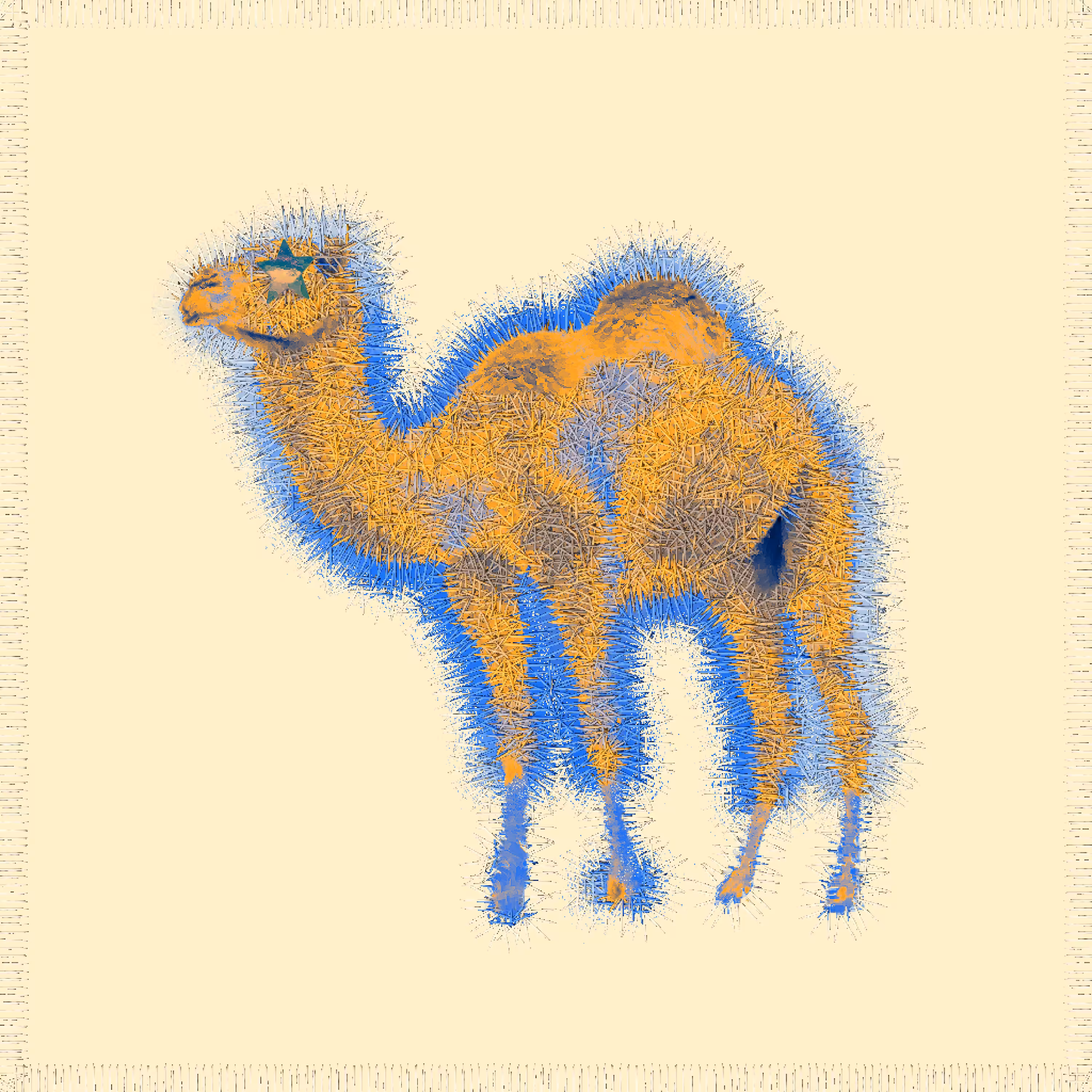 Camel