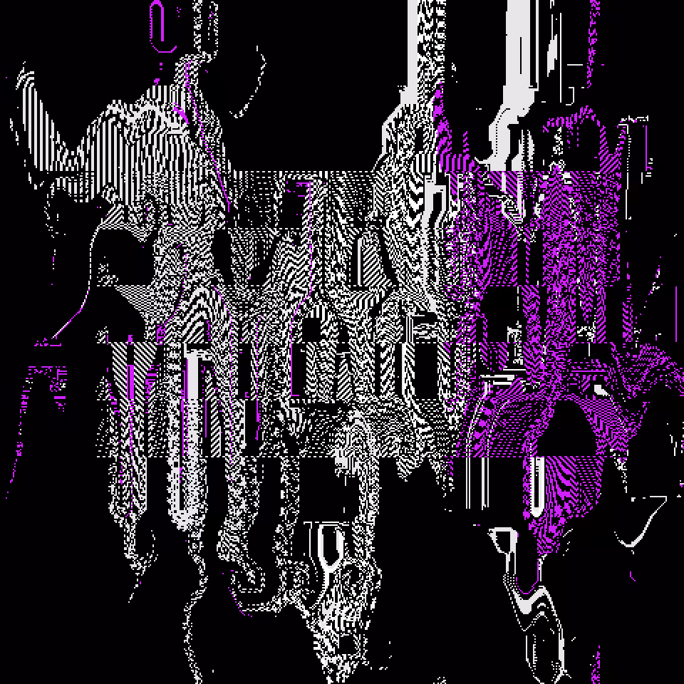 X0X216