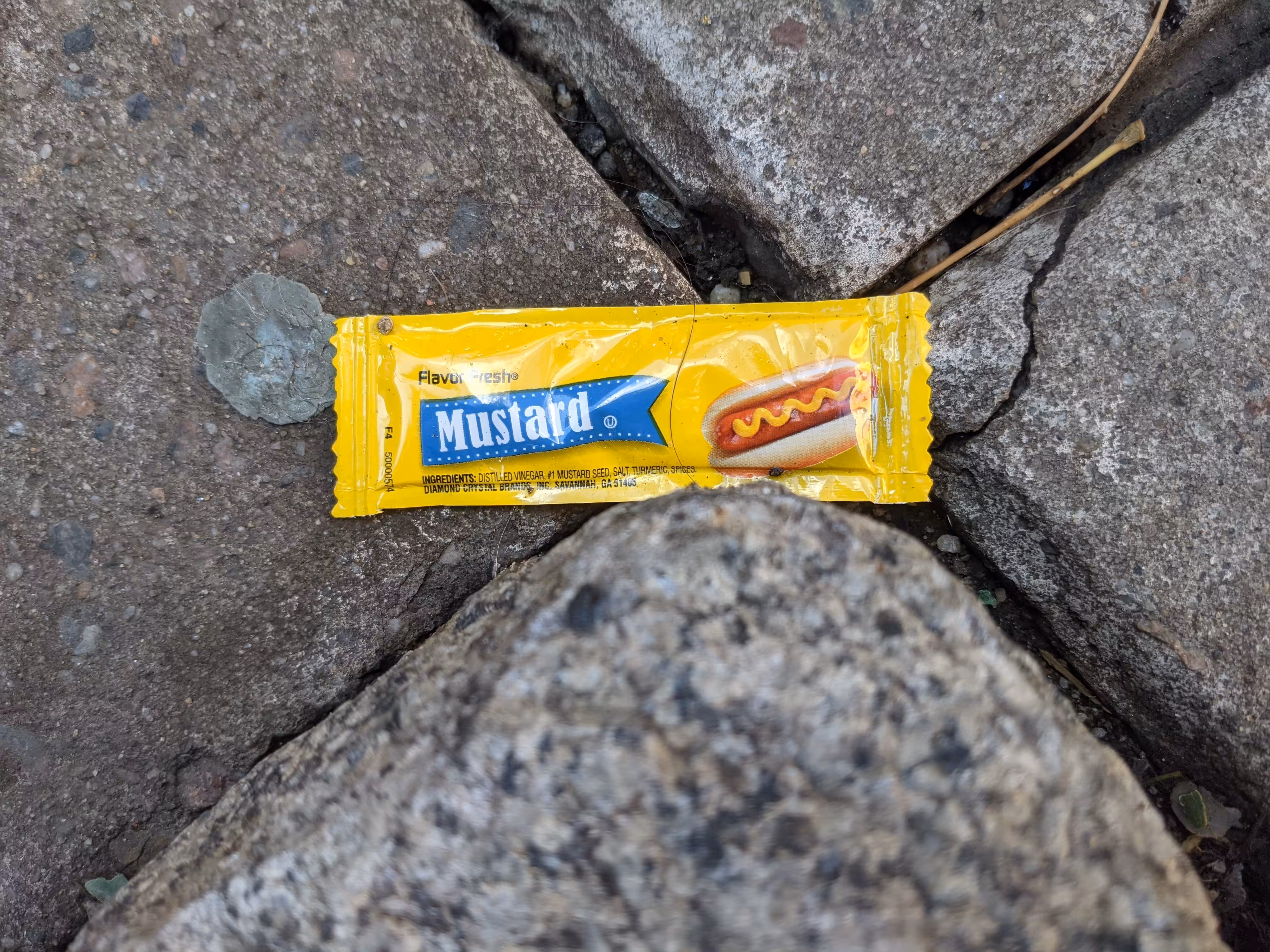 Mustard #1