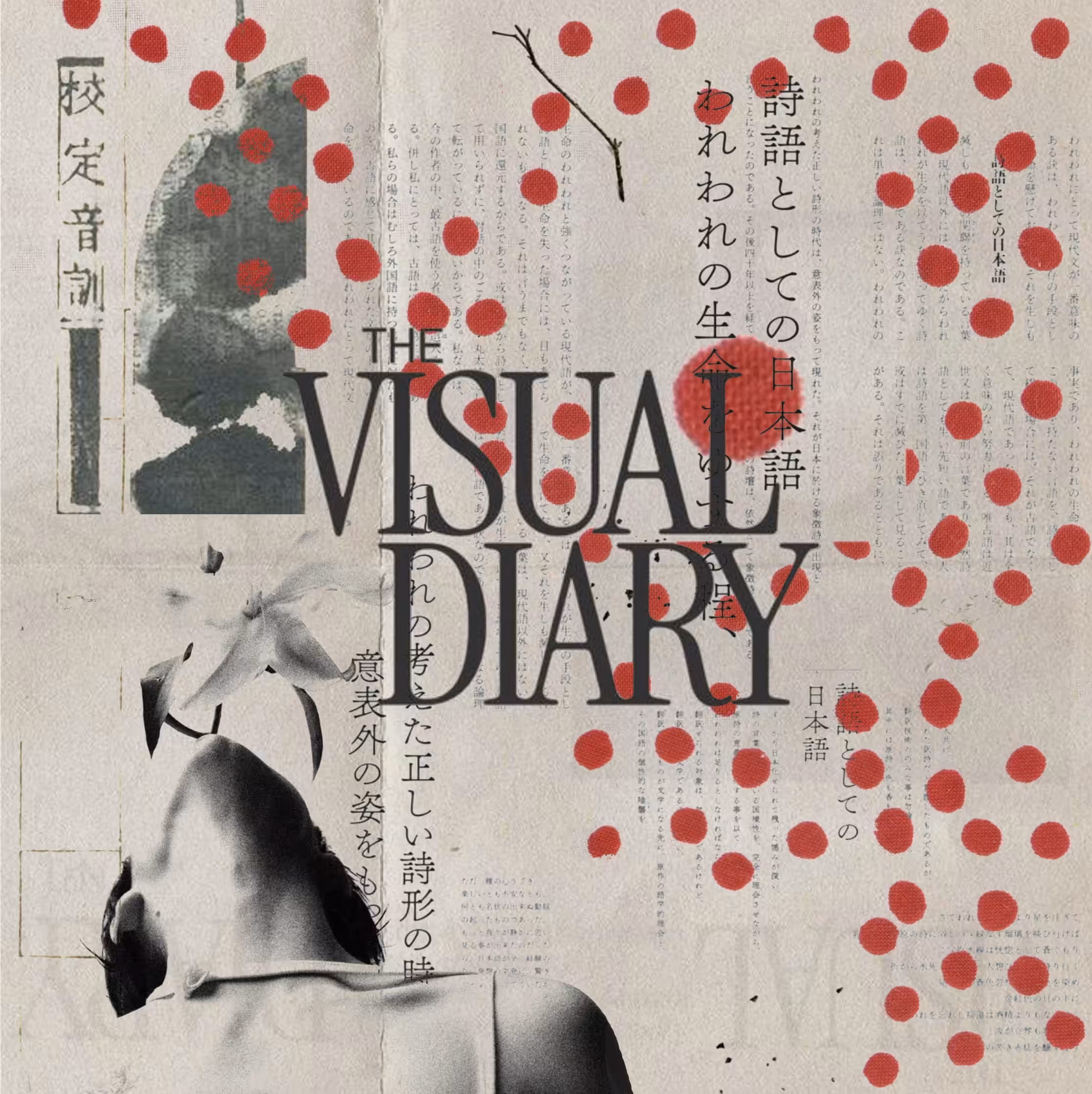 The Visual Diary