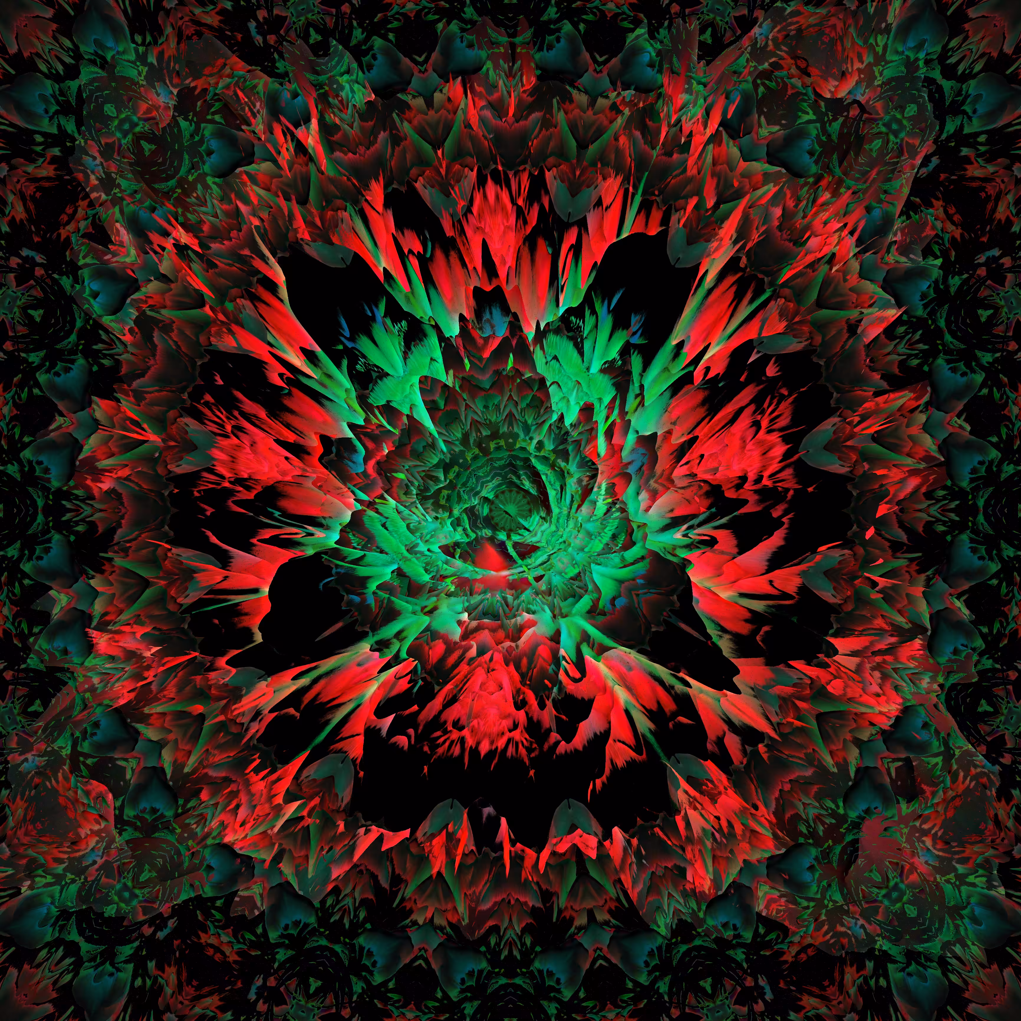 rose explosion