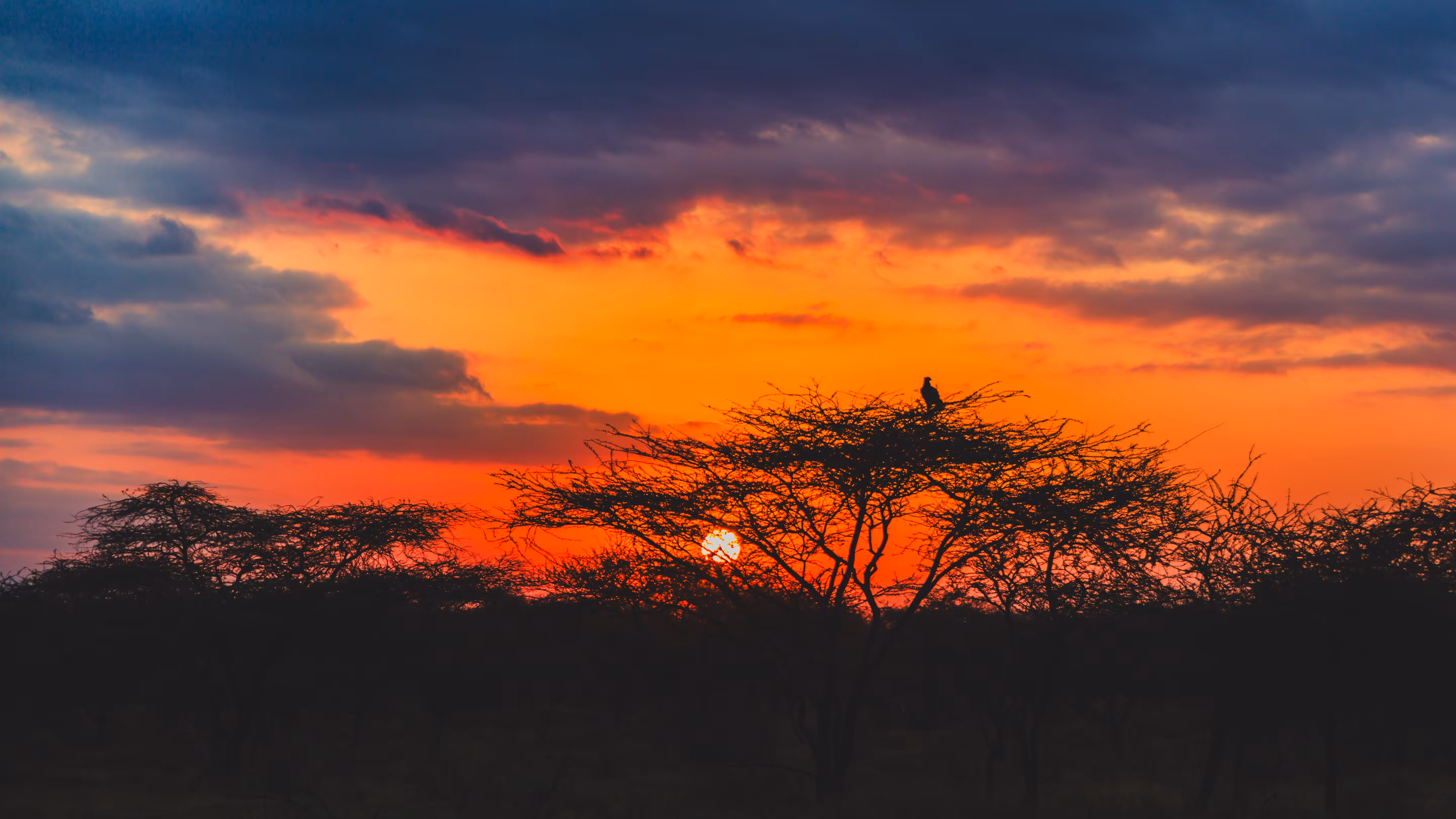 Evening Watch