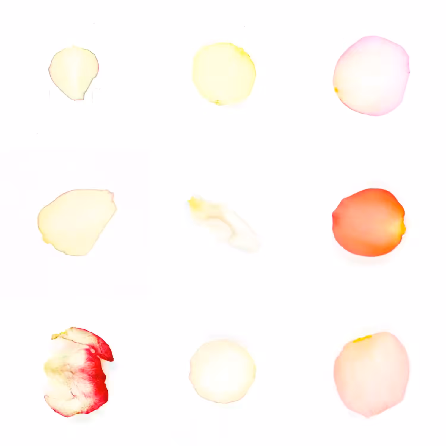 Infinite Petals 3x3#3573