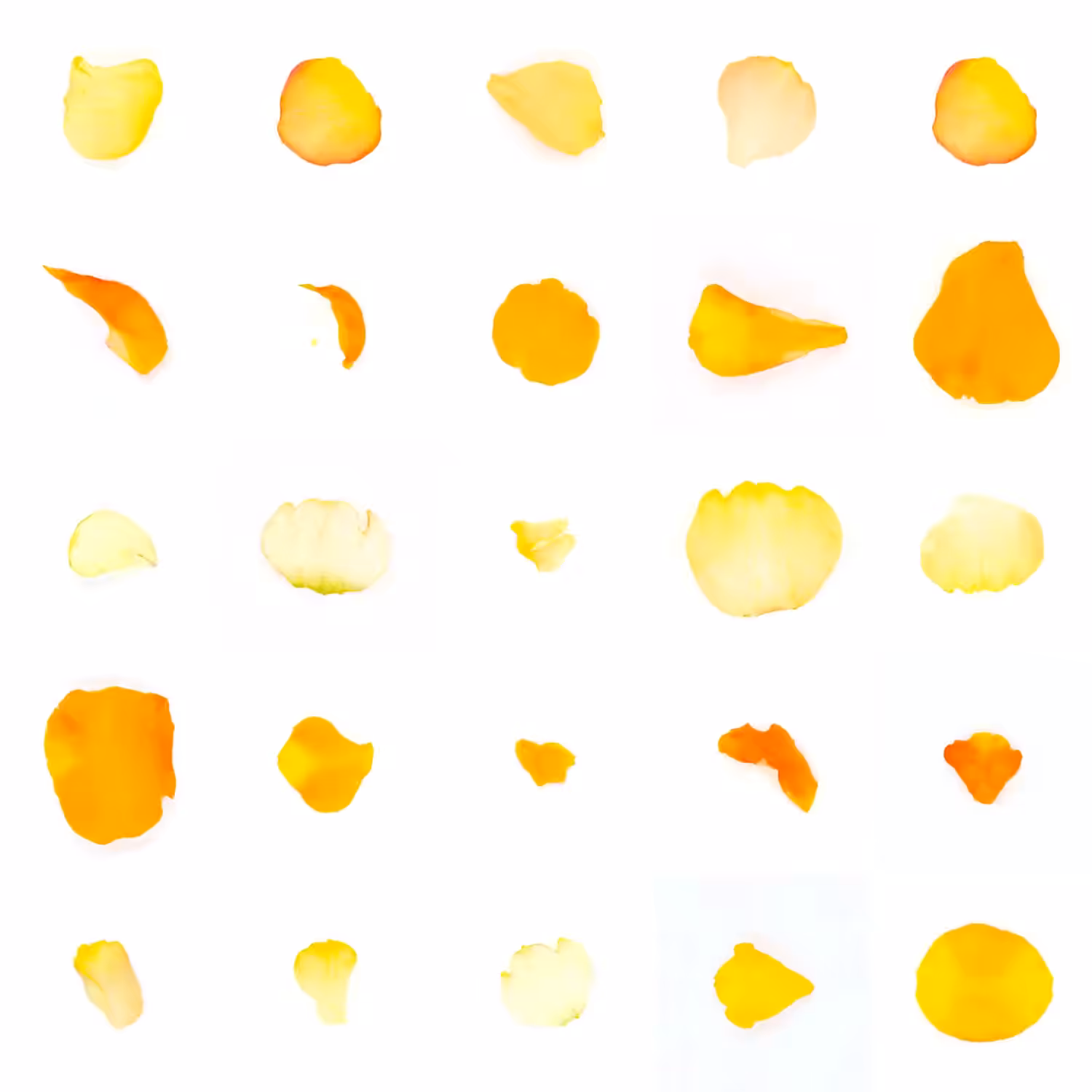 Infinite Petals 5x5#20012