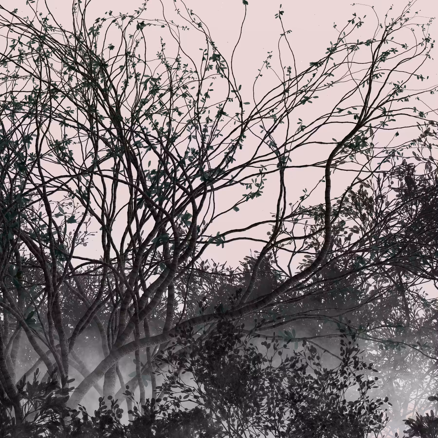 Morning Mist #130