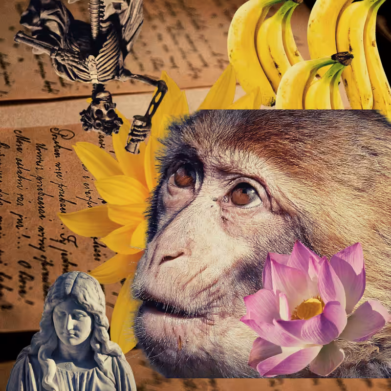 Banana flower #4