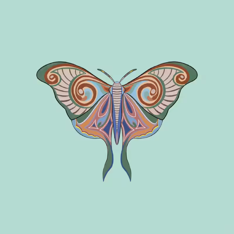 The Moth Experiment 2.0 P2 #23