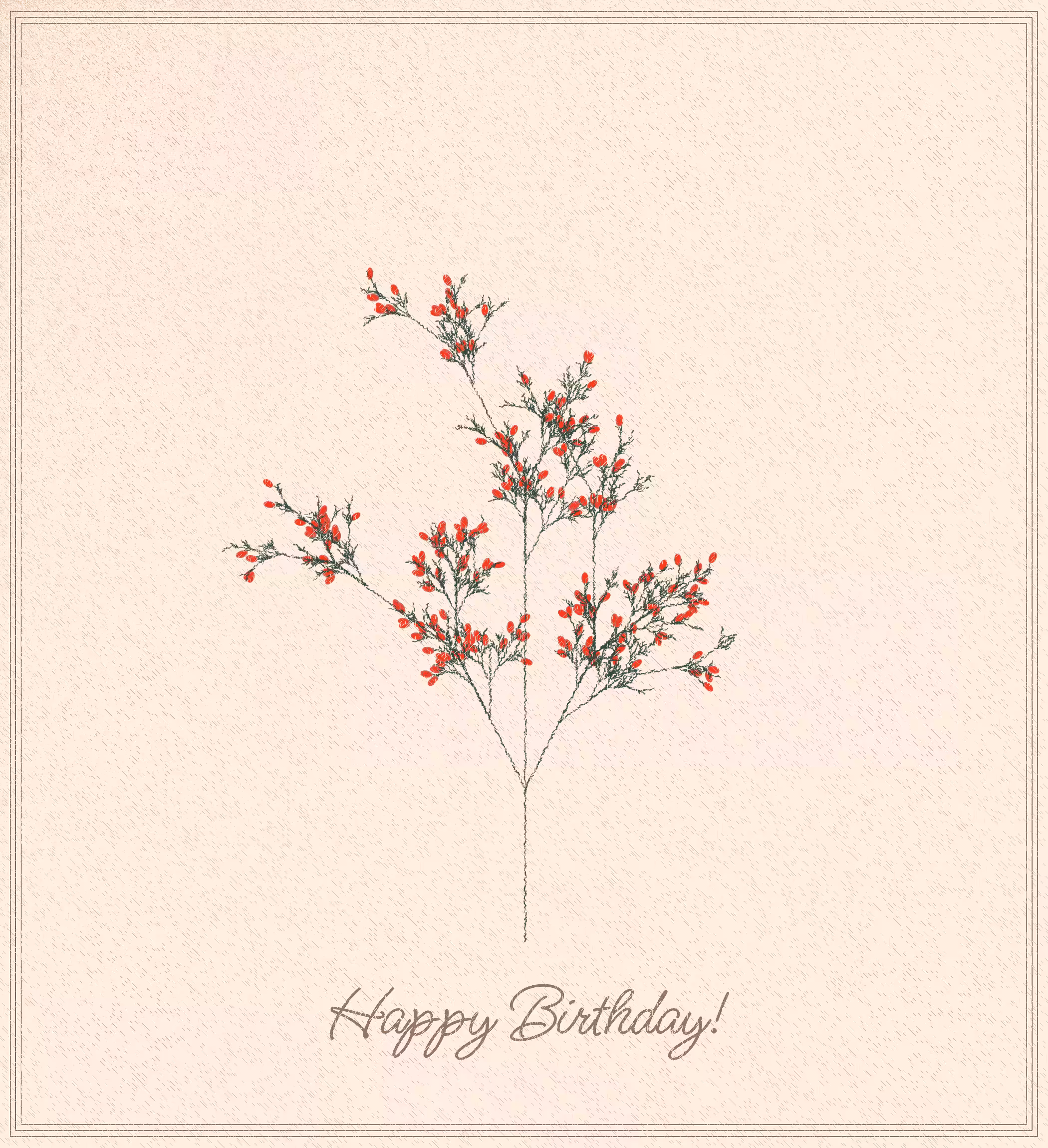 birthday cards #40