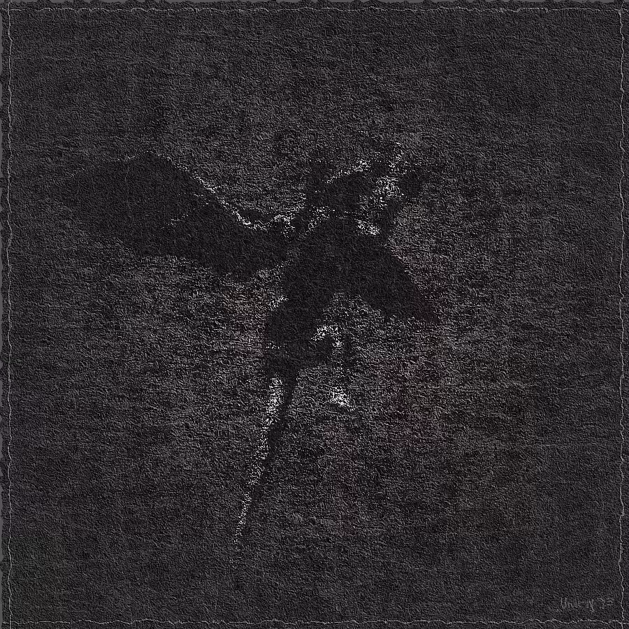 The Spirit of Dragon #30