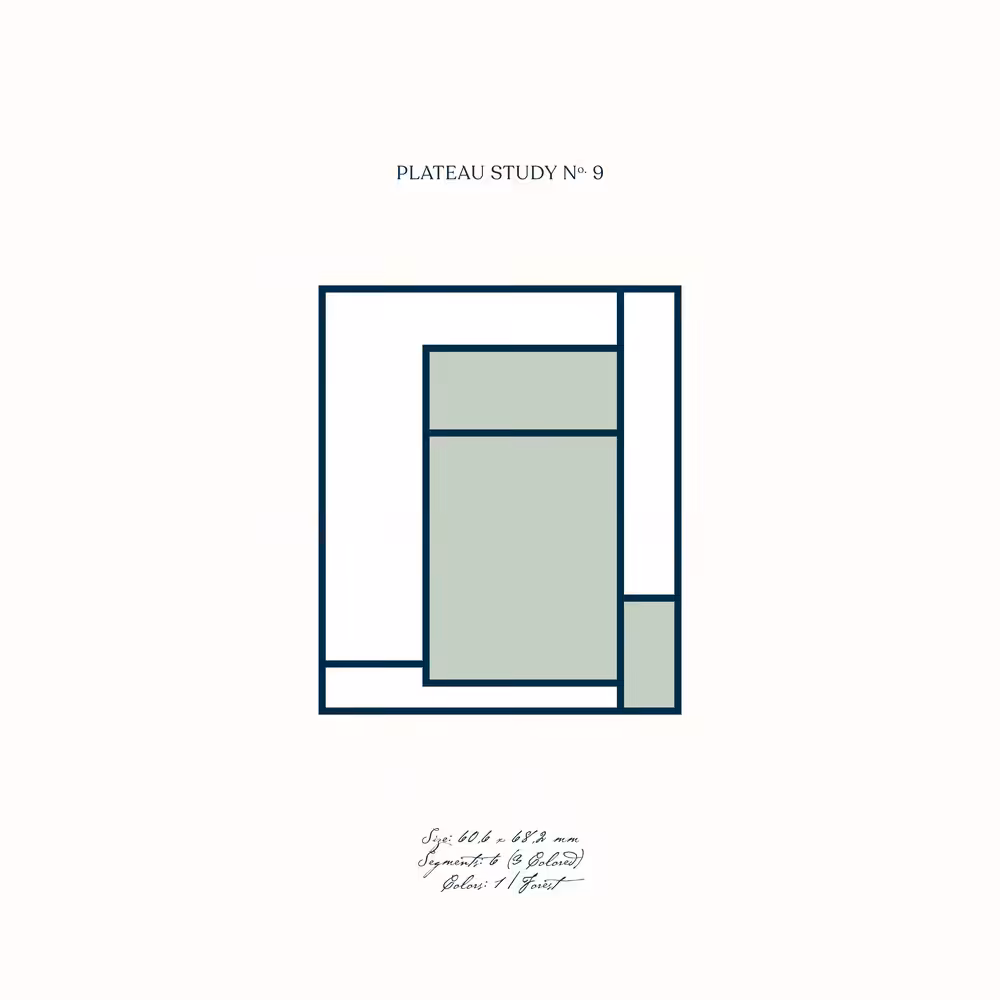 Plateau Study No.9