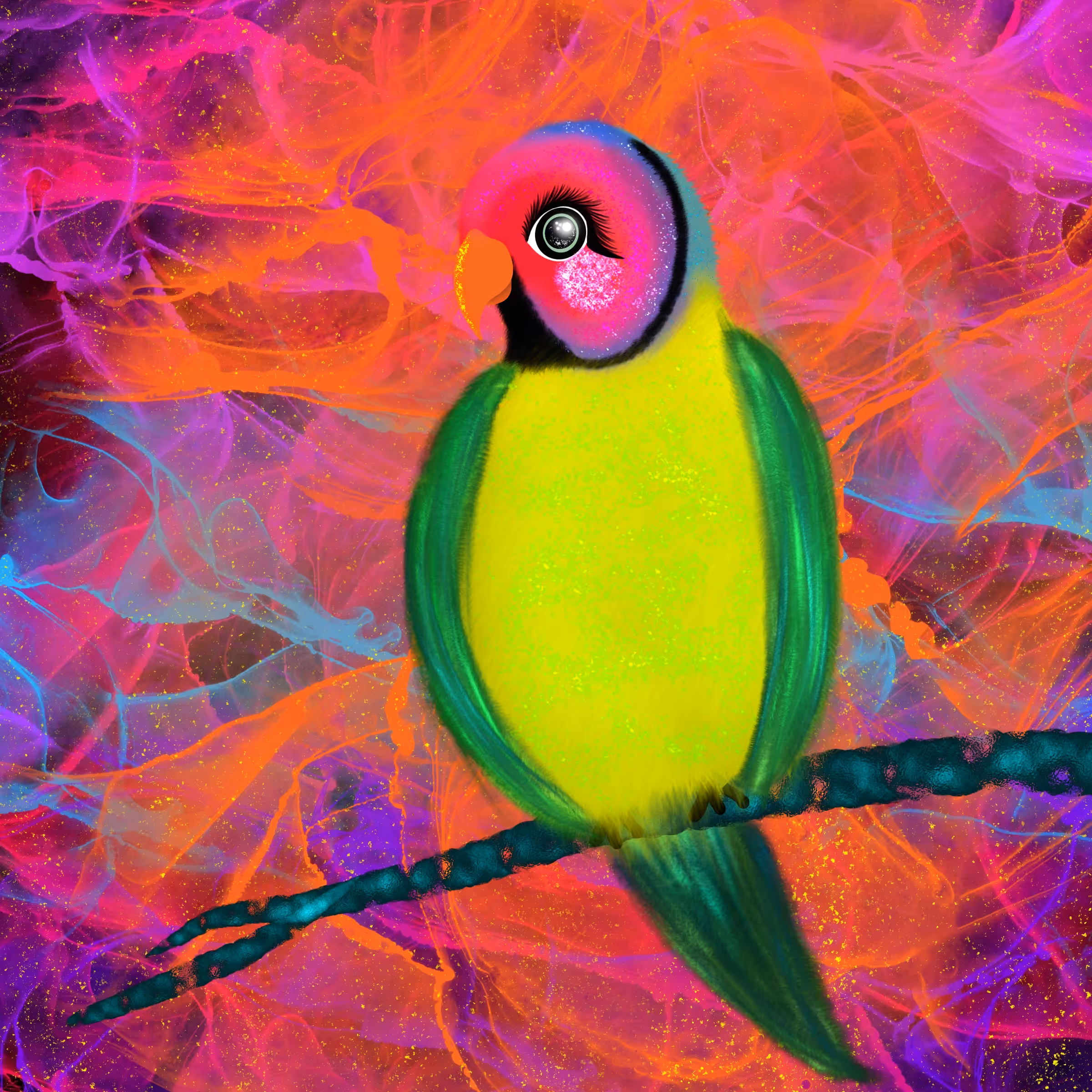 Plum Headed Parekeet Parrot