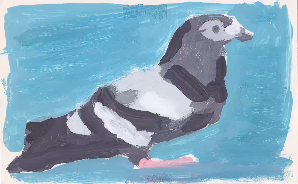Pigeon is a Dinosaur