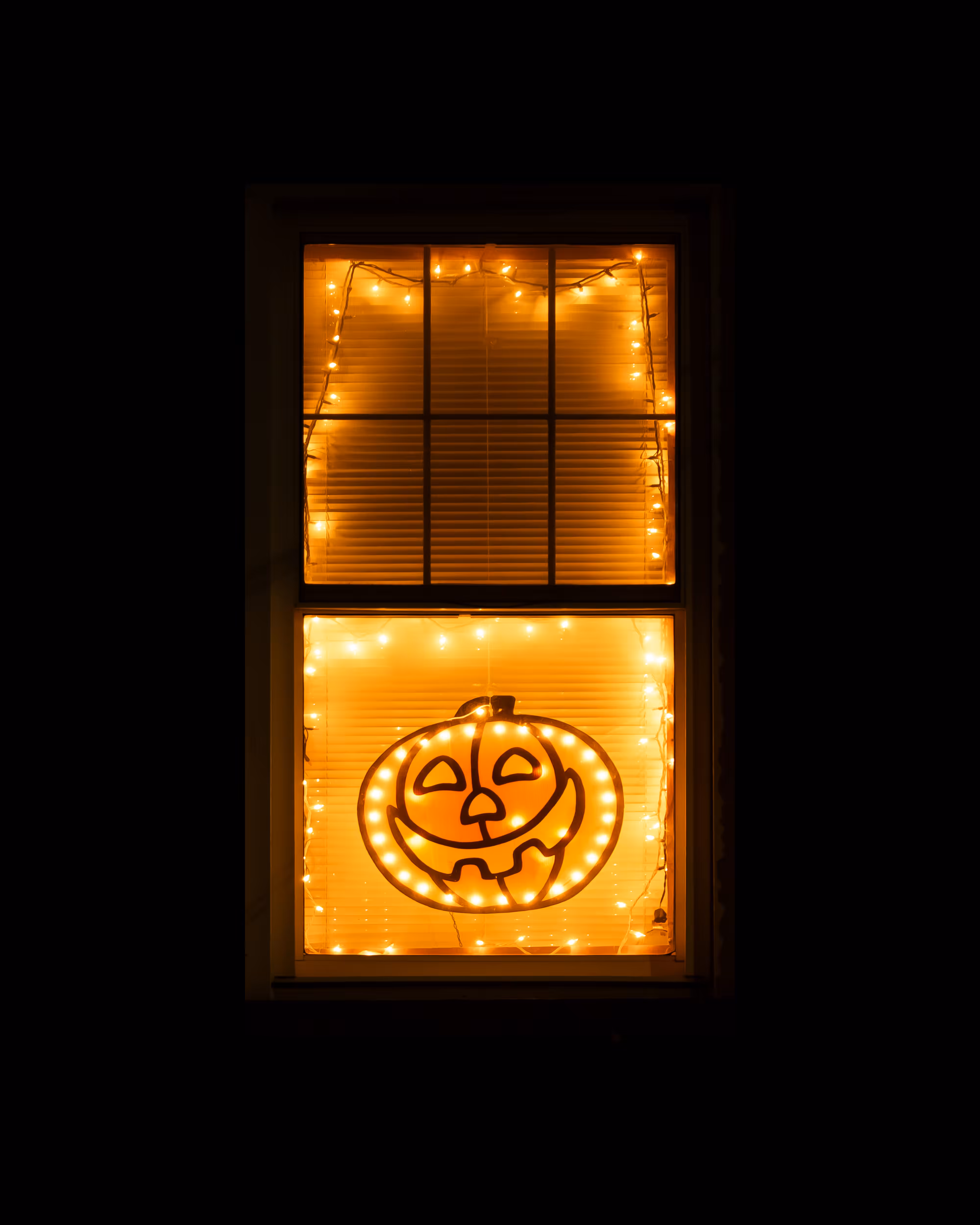 WINDOW 817
