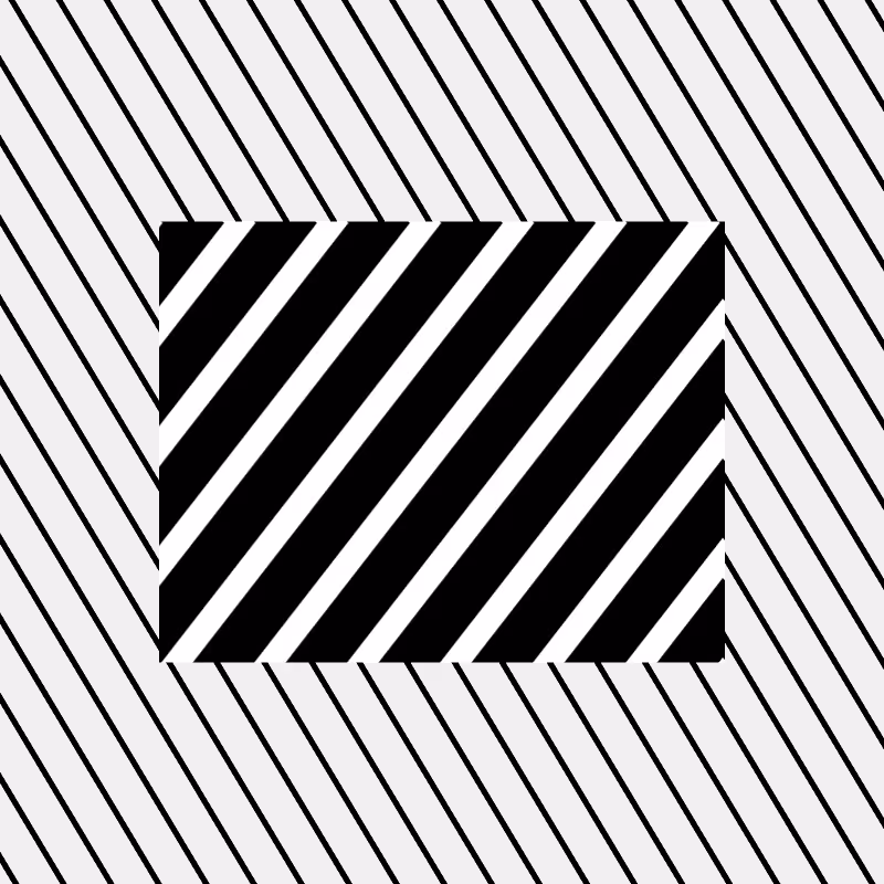 Chromatic dazzle #335