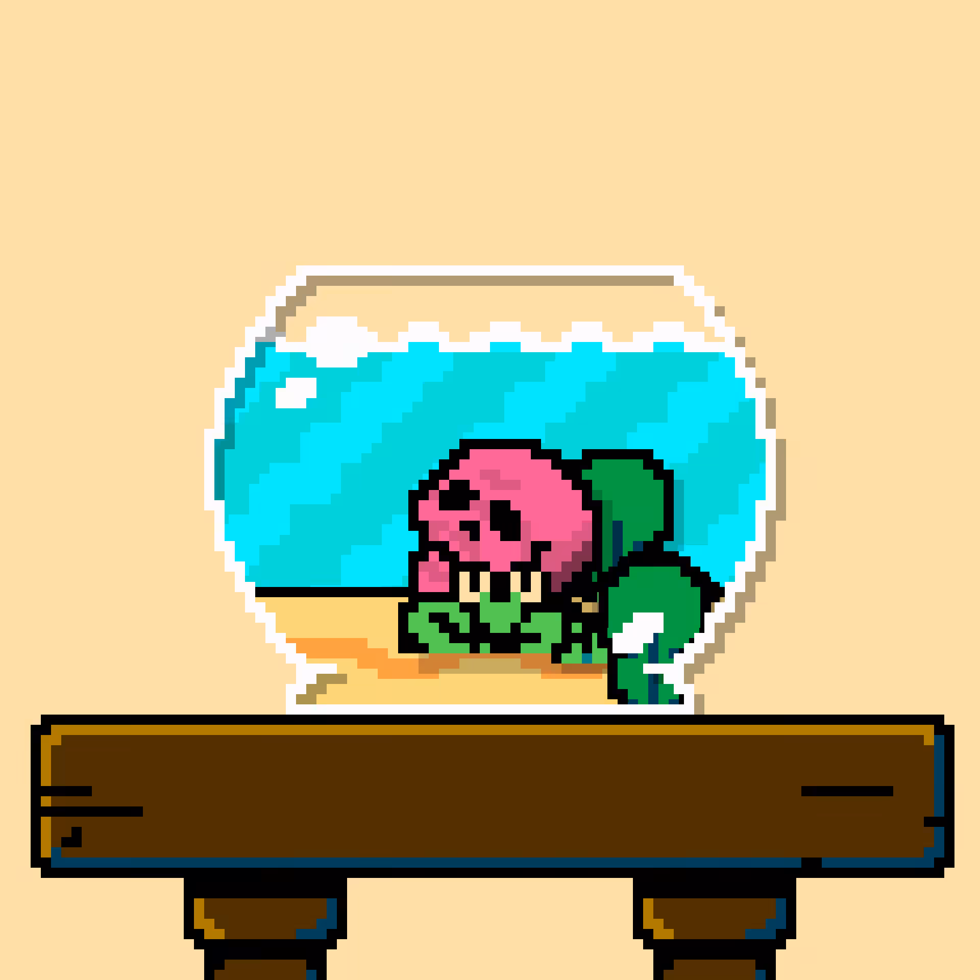 hermit crab #20